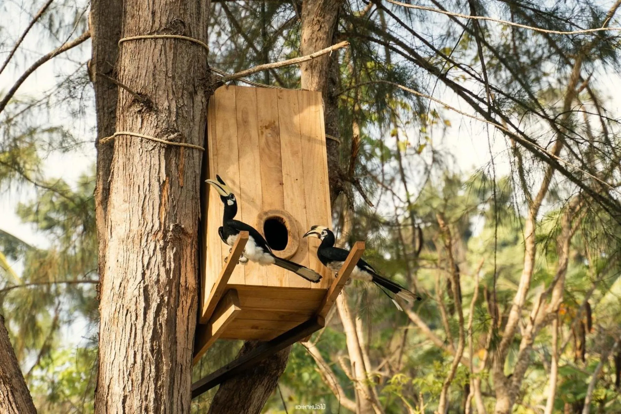 Nearby landmark in Mayalay Resort-Green Hotel