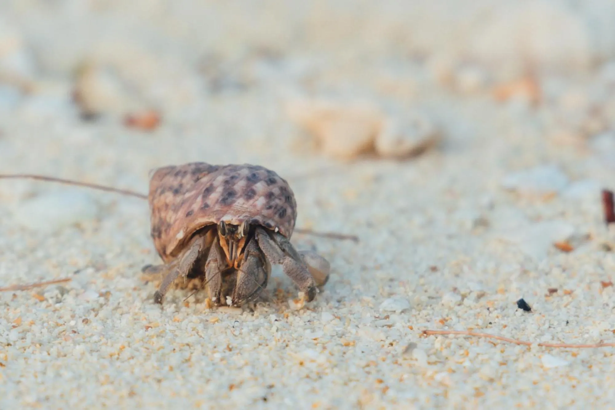 Beach in Mayalay Resort-Green Hotel
