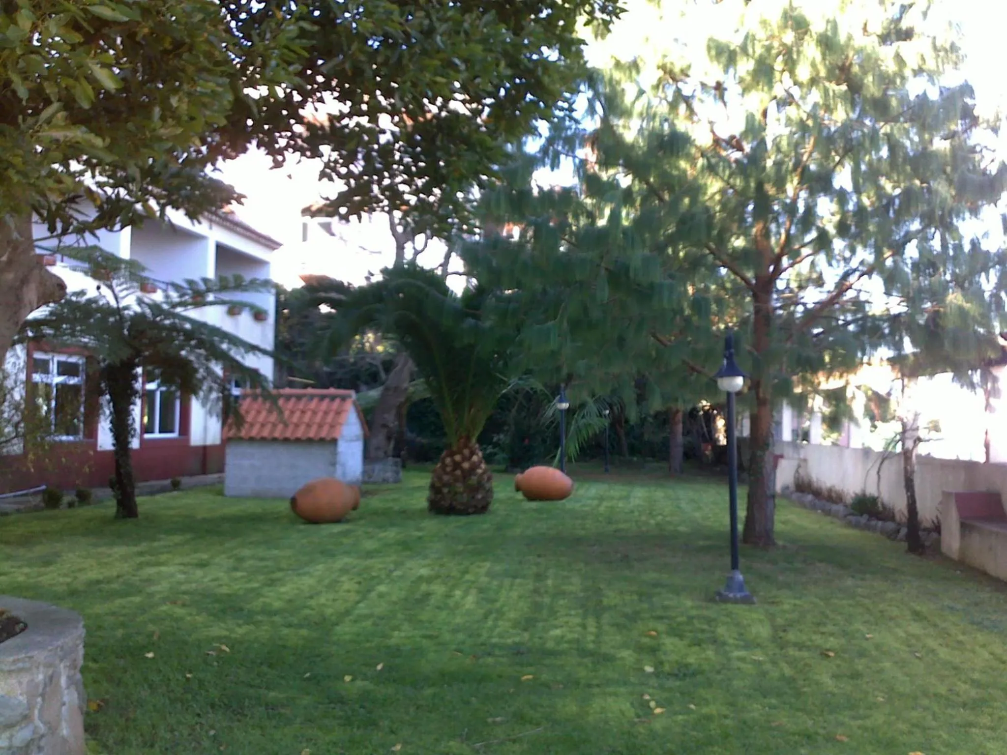 Garden in Hotel O Colmo
