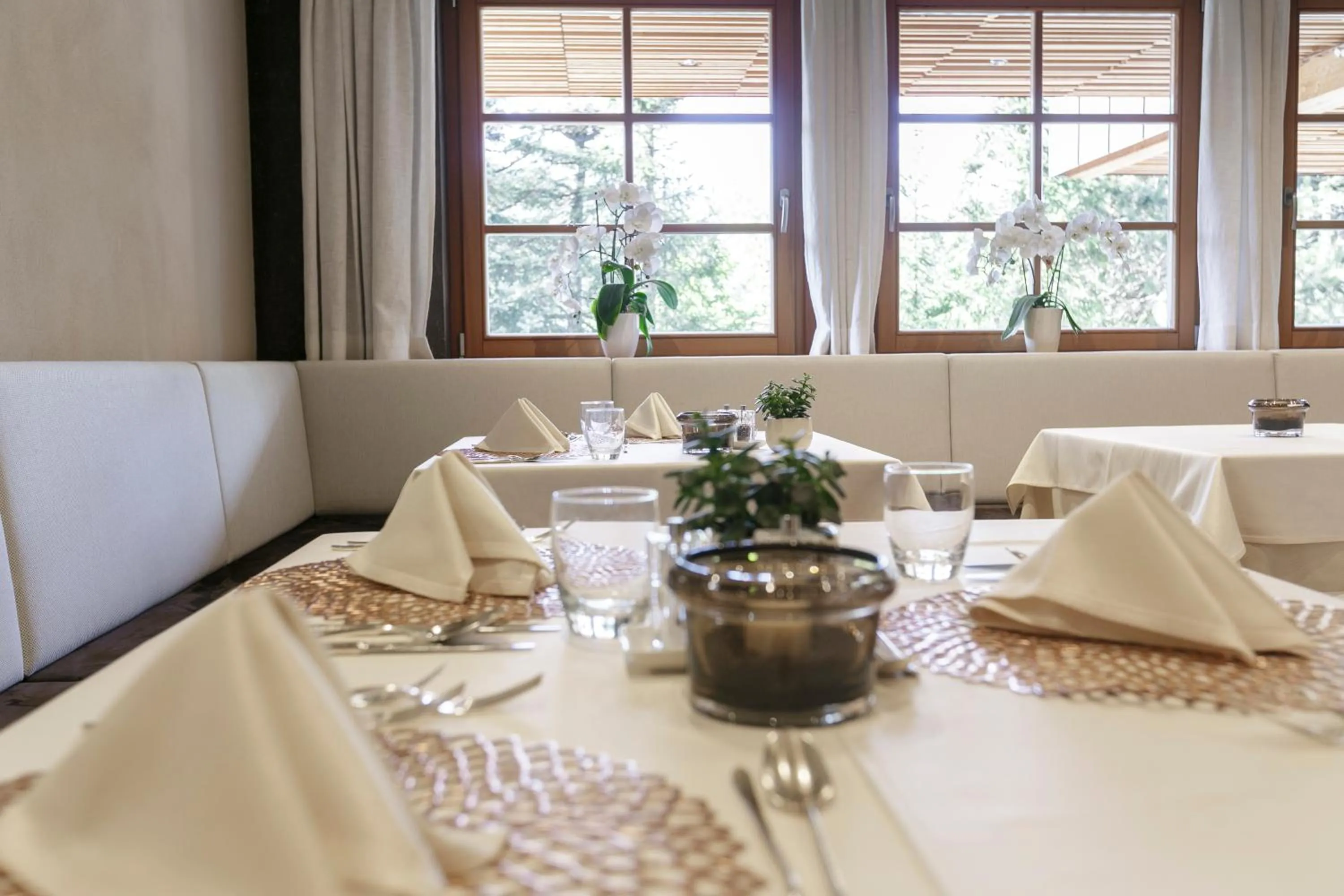 Restaurant/places to eat in Hotel Gran Paradiso