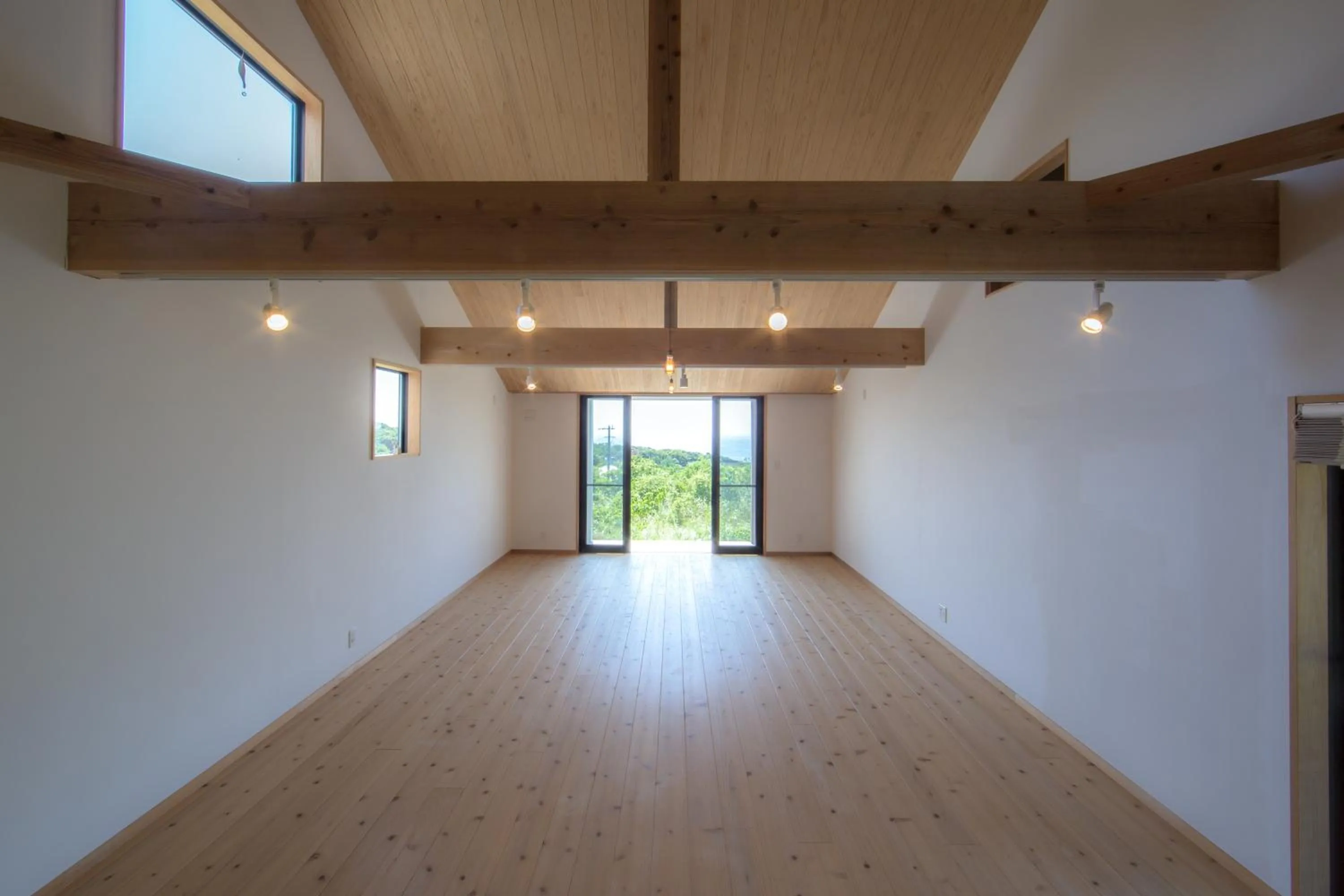 Ananda Chillage Yakushima