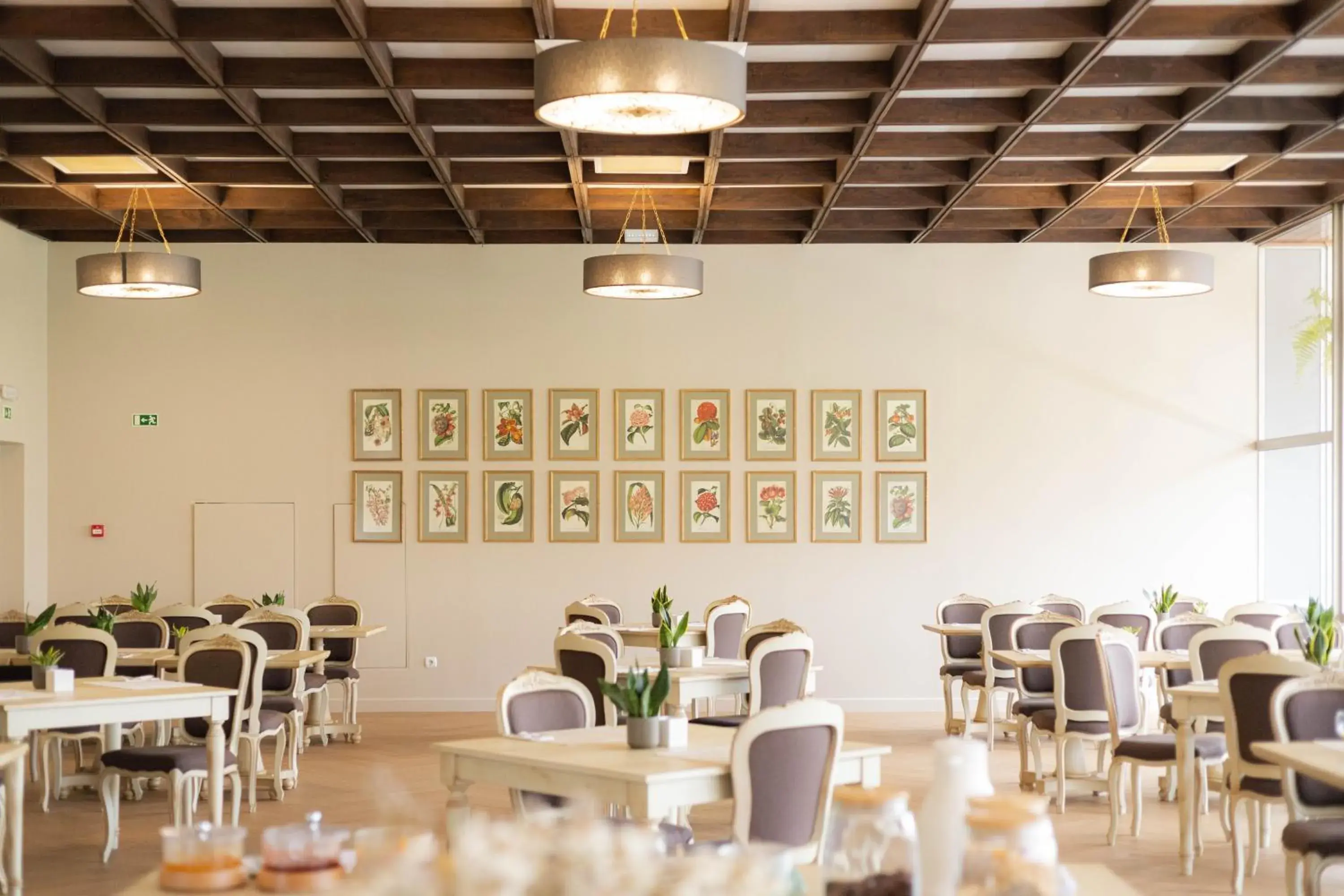 Restaurant/places to eat in Hotel Navarras Restaurant/places to eat in Hotel Navarras