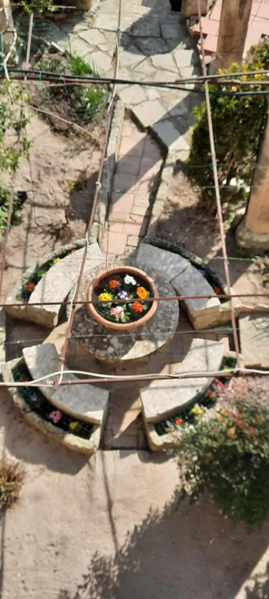 Garden in Palazzo Bernardini B & B