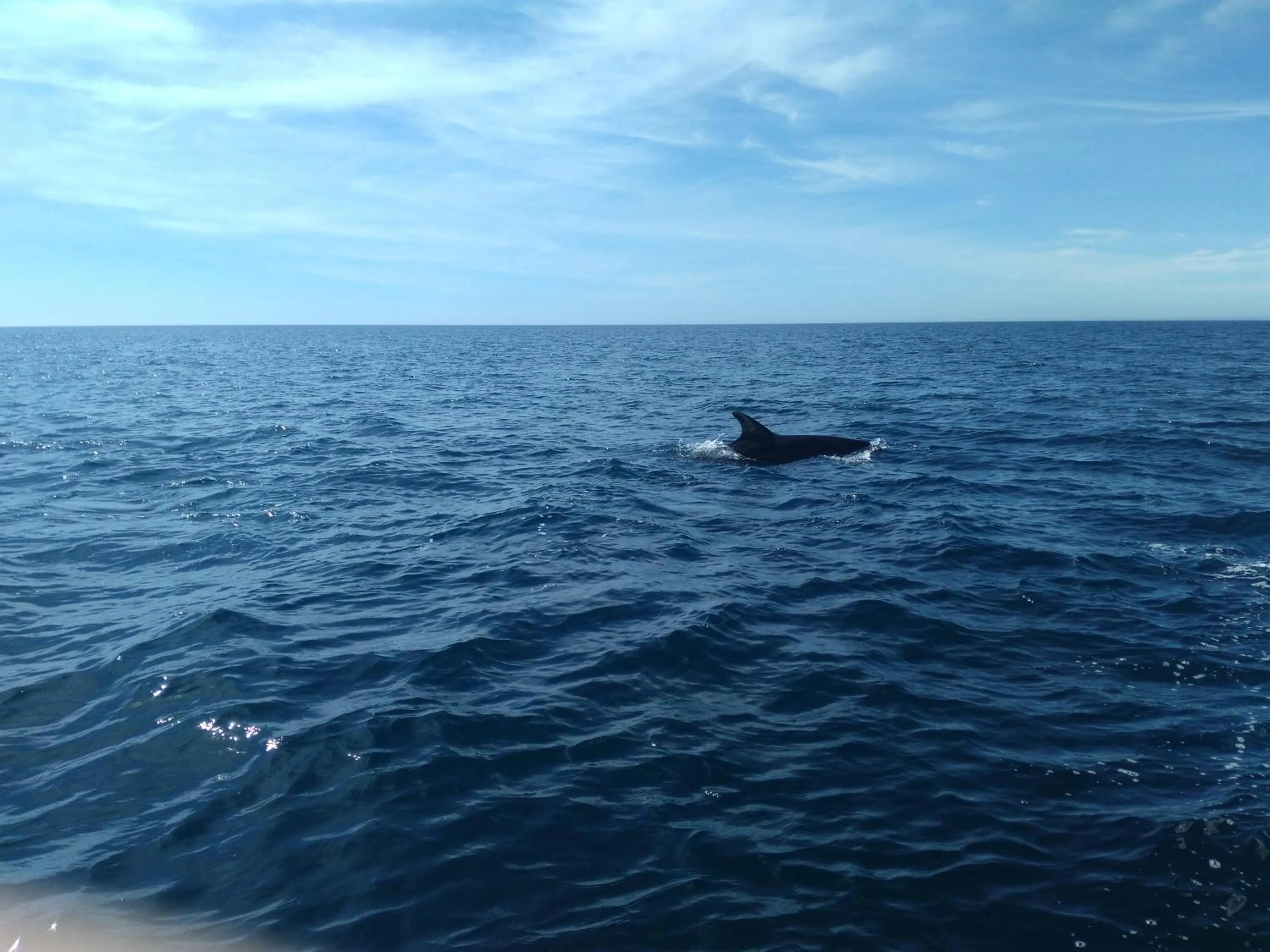 Beach in Albufeira Beach Hotel by Kavia