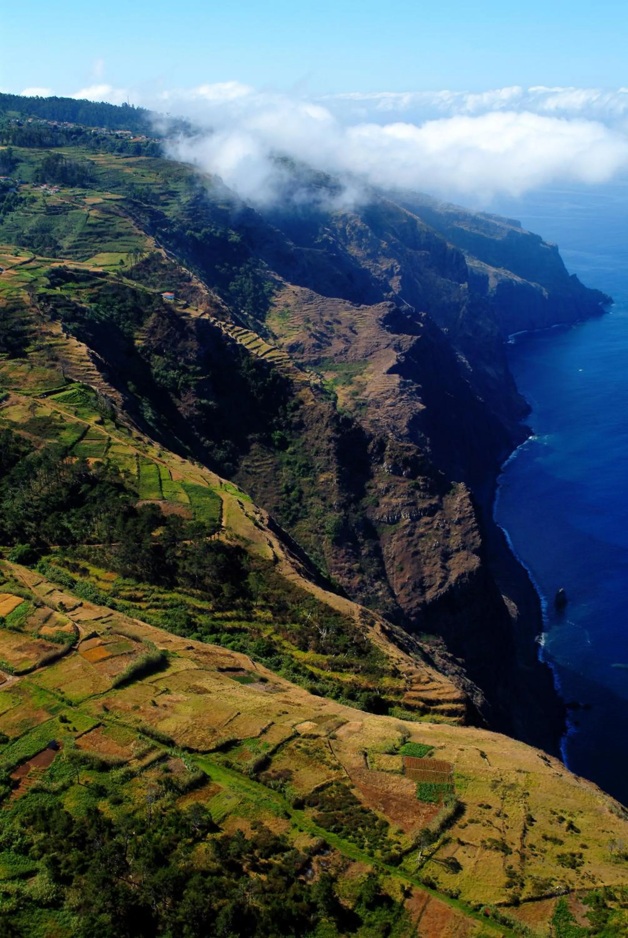 Natural landscape in Madeira Bright Star by Petit Hotels