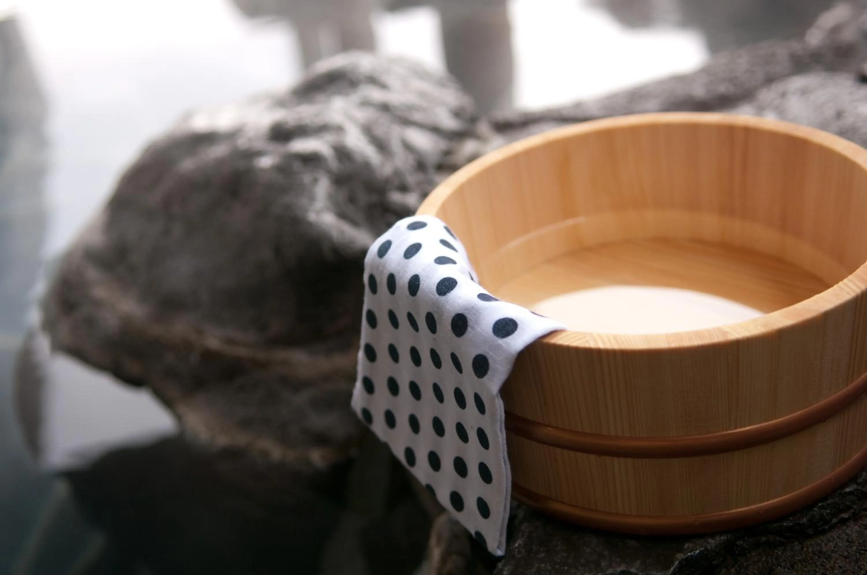 Hot Spring Bath in Entaijiso