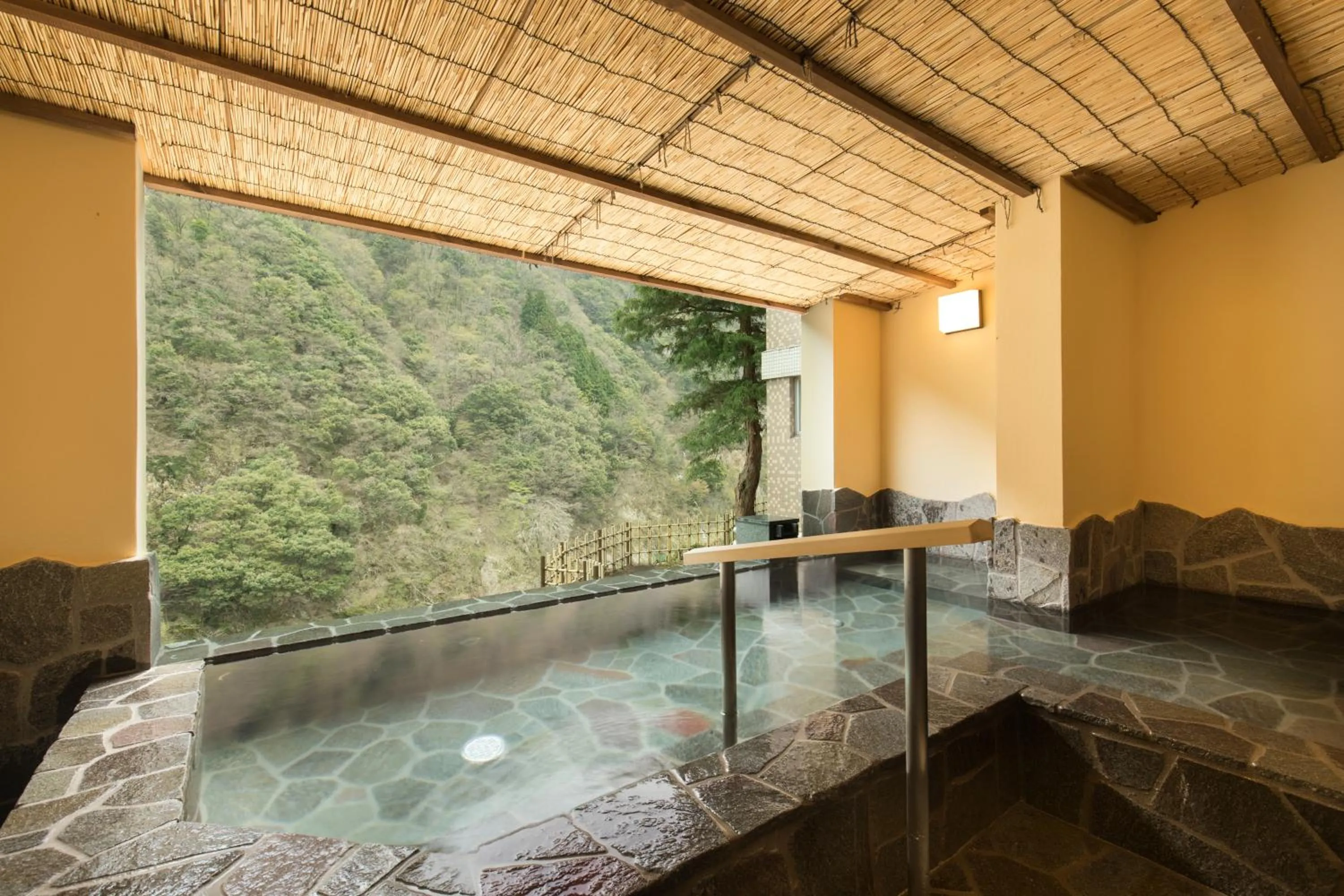 Hot Spring Bath in Entaijiso