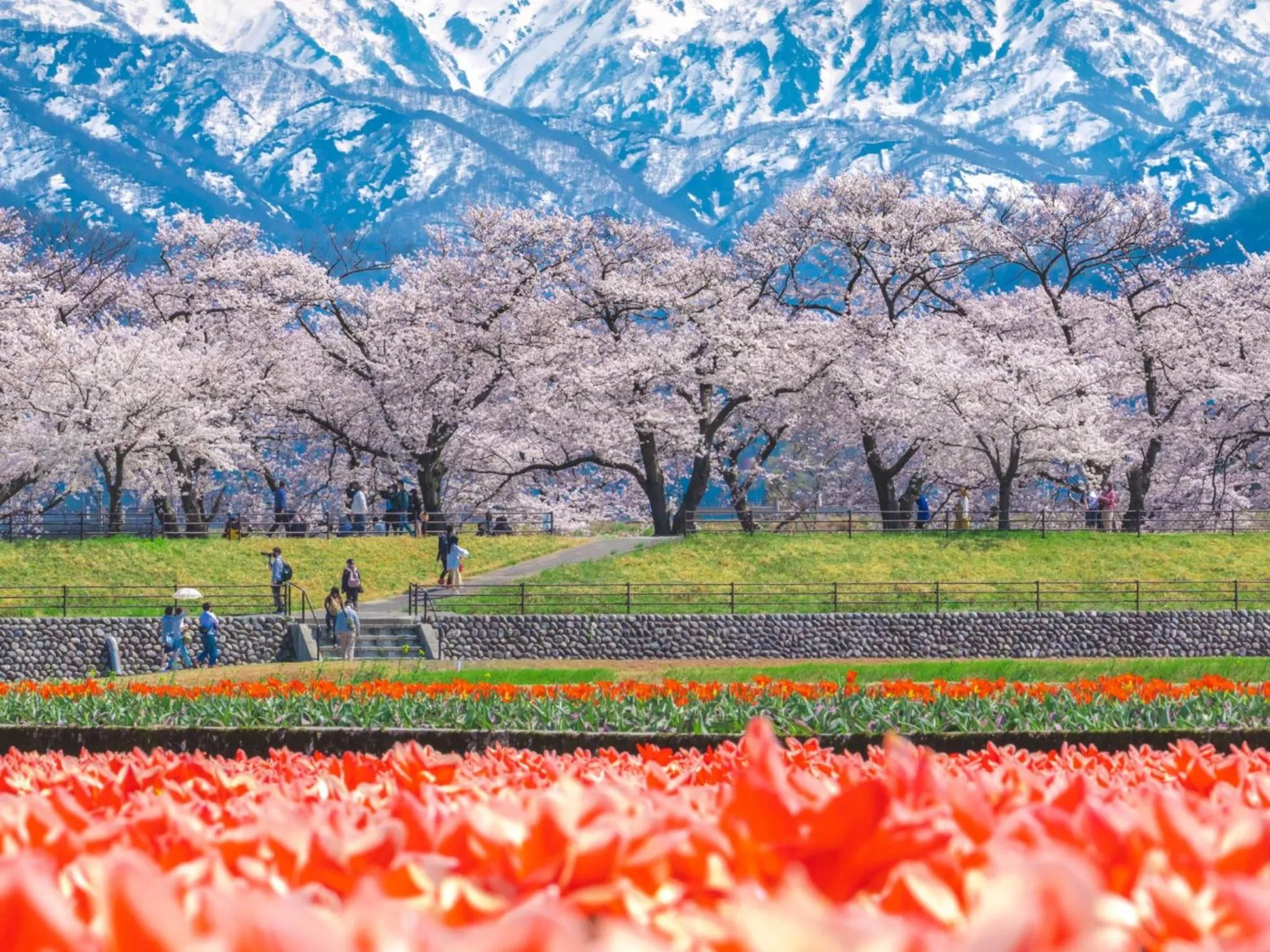 Nearby landmark in Entaijiso