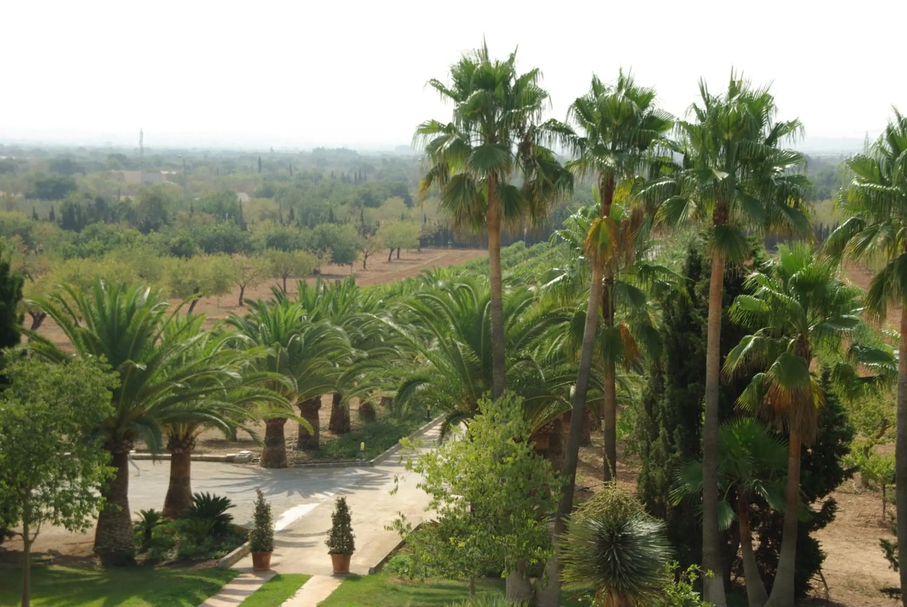 View (from property/room) in Sa Cabana Hotel & Spa - Adults Only View (from property/room) in Sa Cabana Hotel & Spa - Adults Only