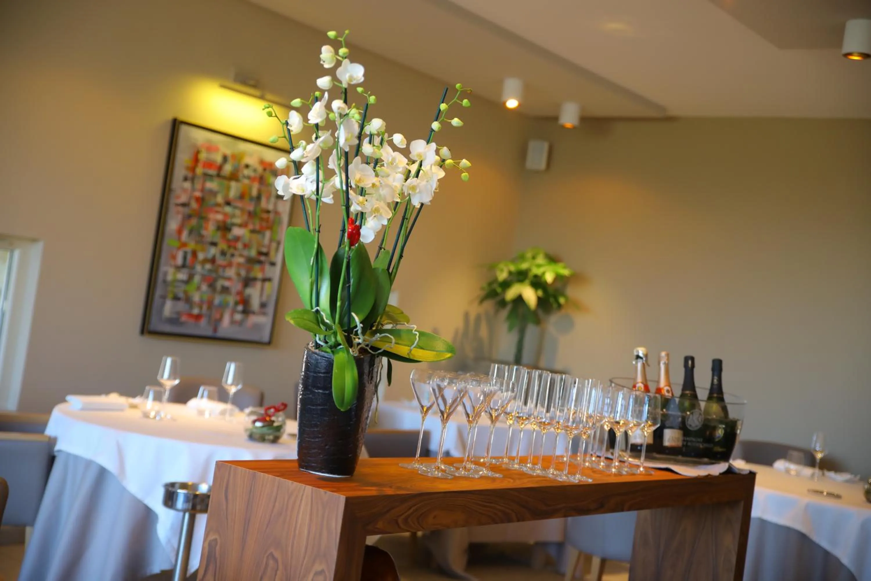 Maison CHENET - Les Chambres Entre Vigne et Garrigue - Teritoria
