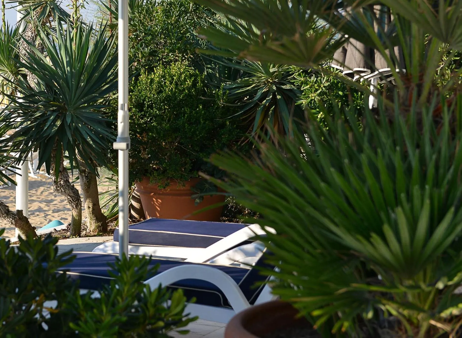 Area and facilities in Hotel Anthony