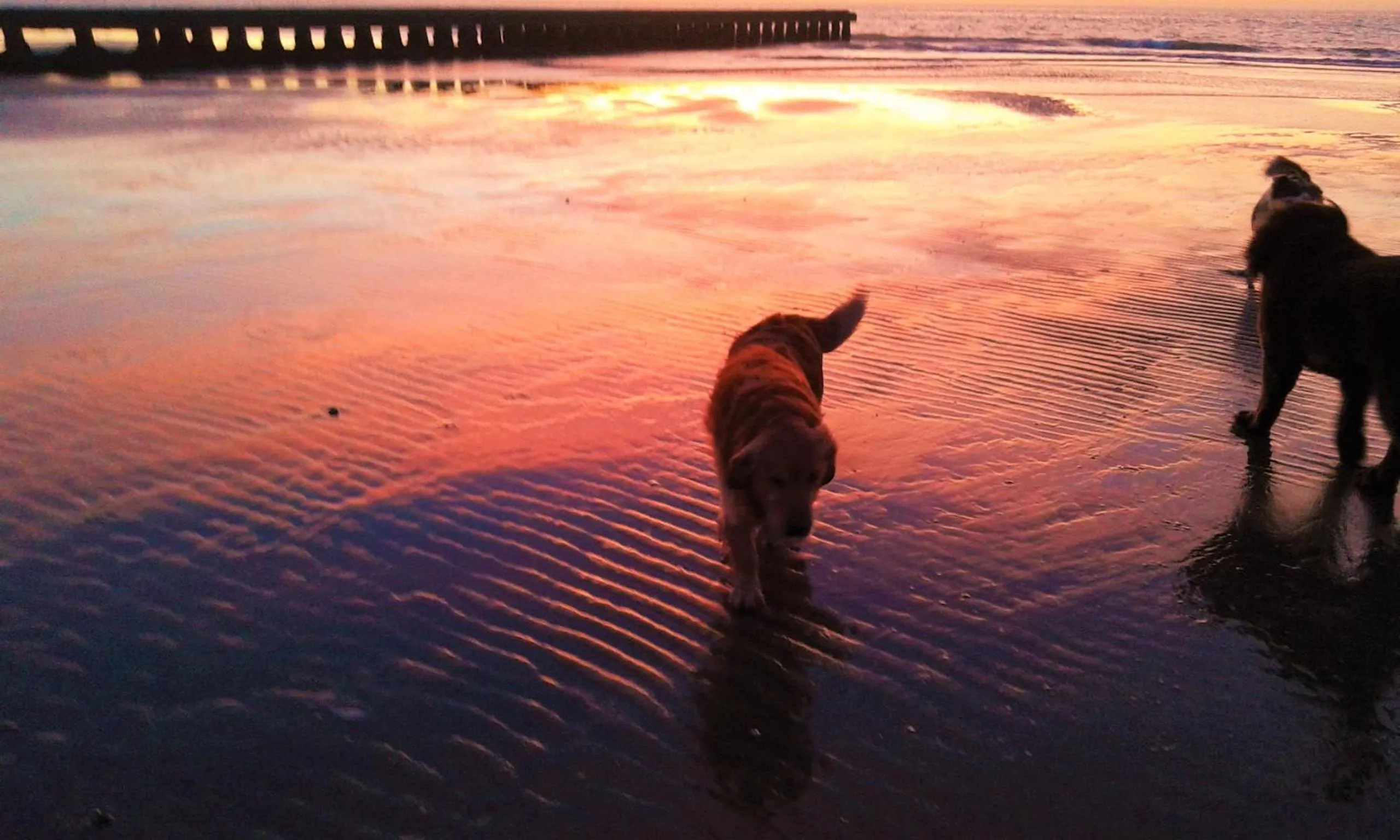 Sunset in Hotel Olanda