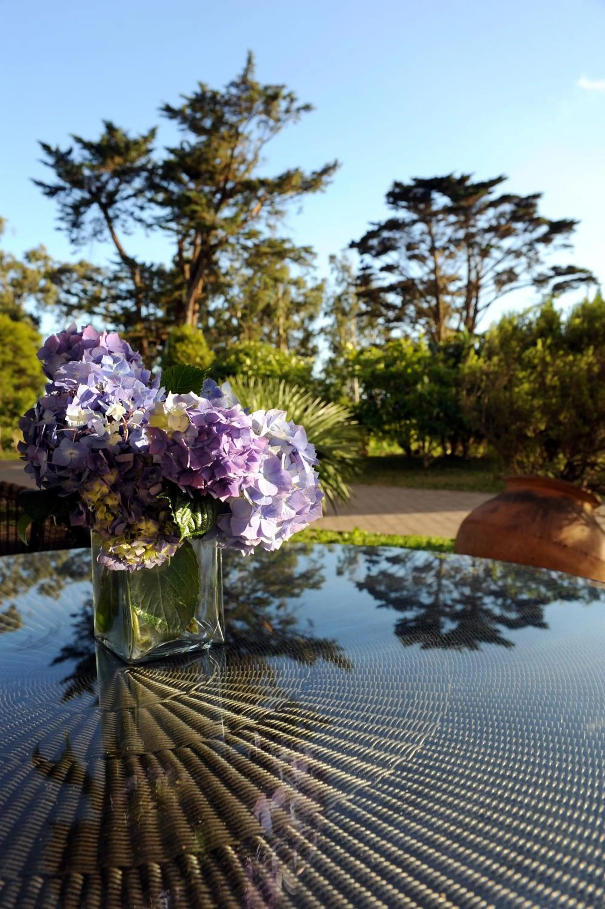 Garden in Quinta Da Cova Do Milho