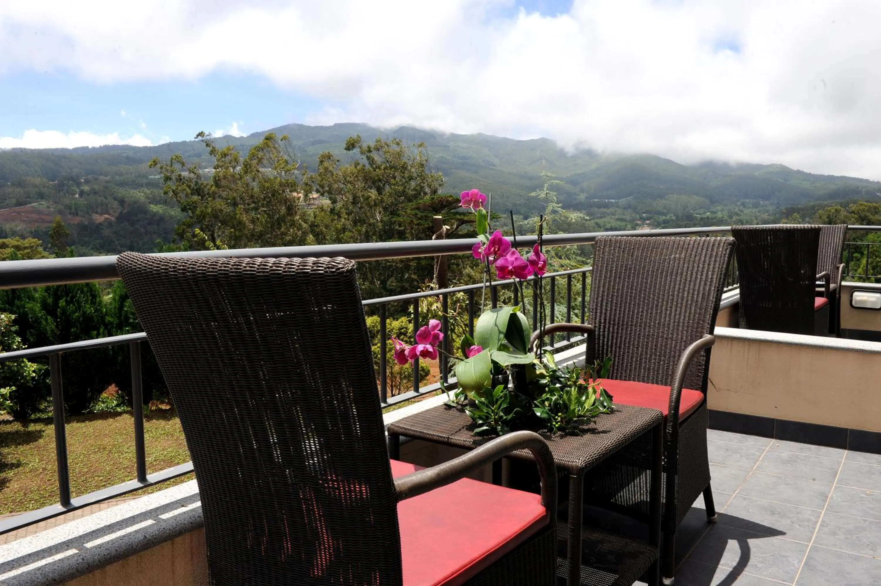 Balcony/Terrace in Quinta Da Cova Do Milho