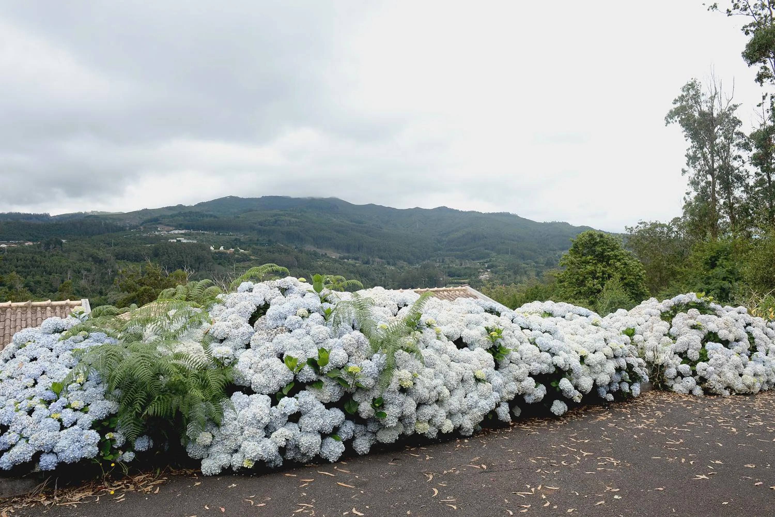 Mountain view in Quinta Da Cova Do Milho