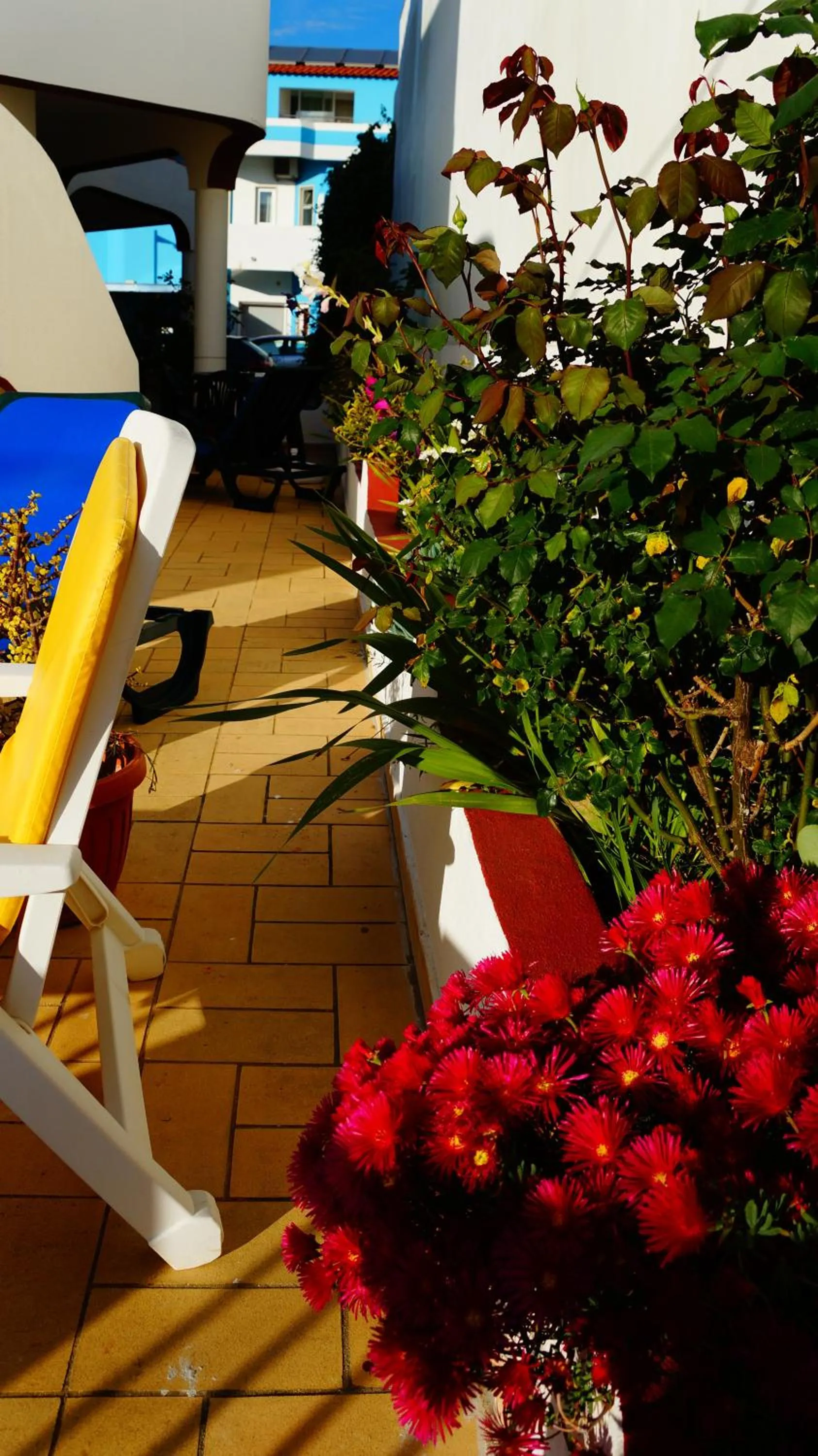 Balcony/Terrace in Apartamentos e Quartos Atalaia