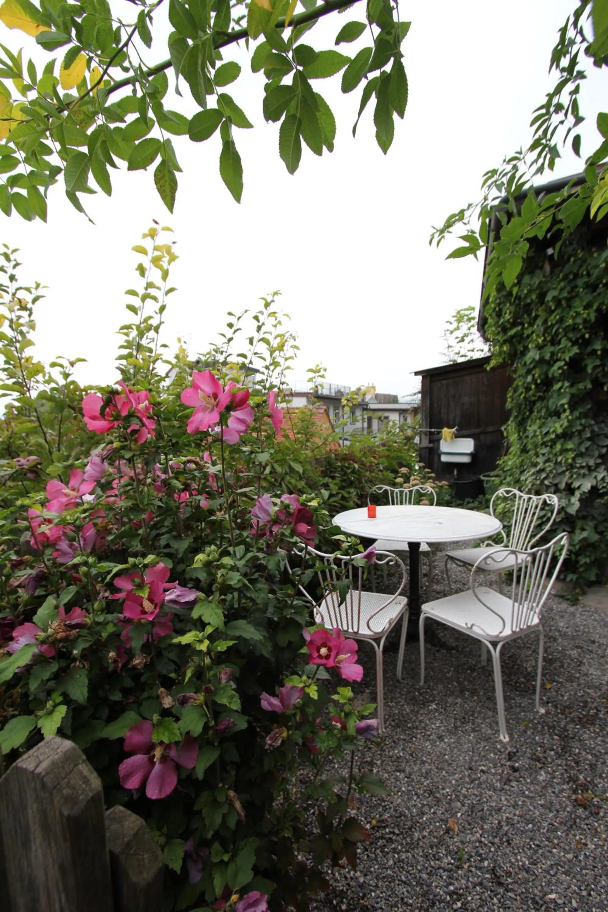 Garden in Hotel Restaurant Schwert Thun