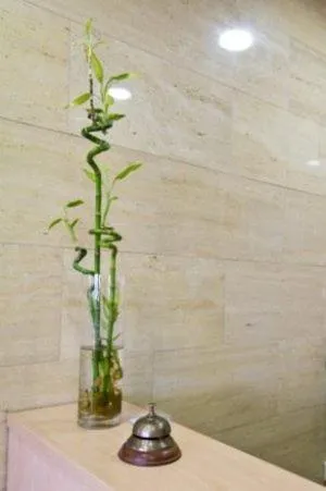 Lobby or reception in Hotel Maria Luisa