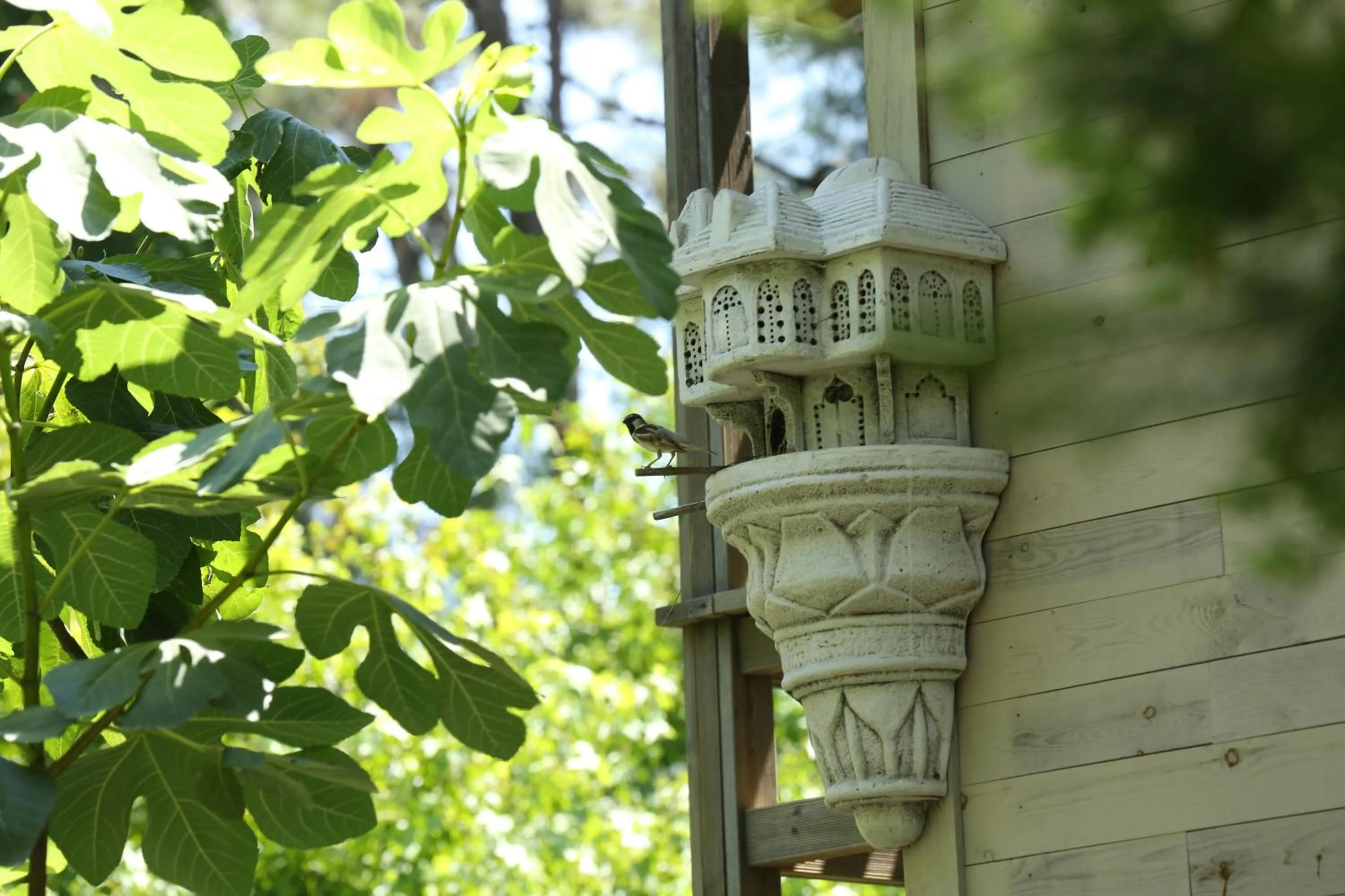 Garden in Golden Key Bordubet