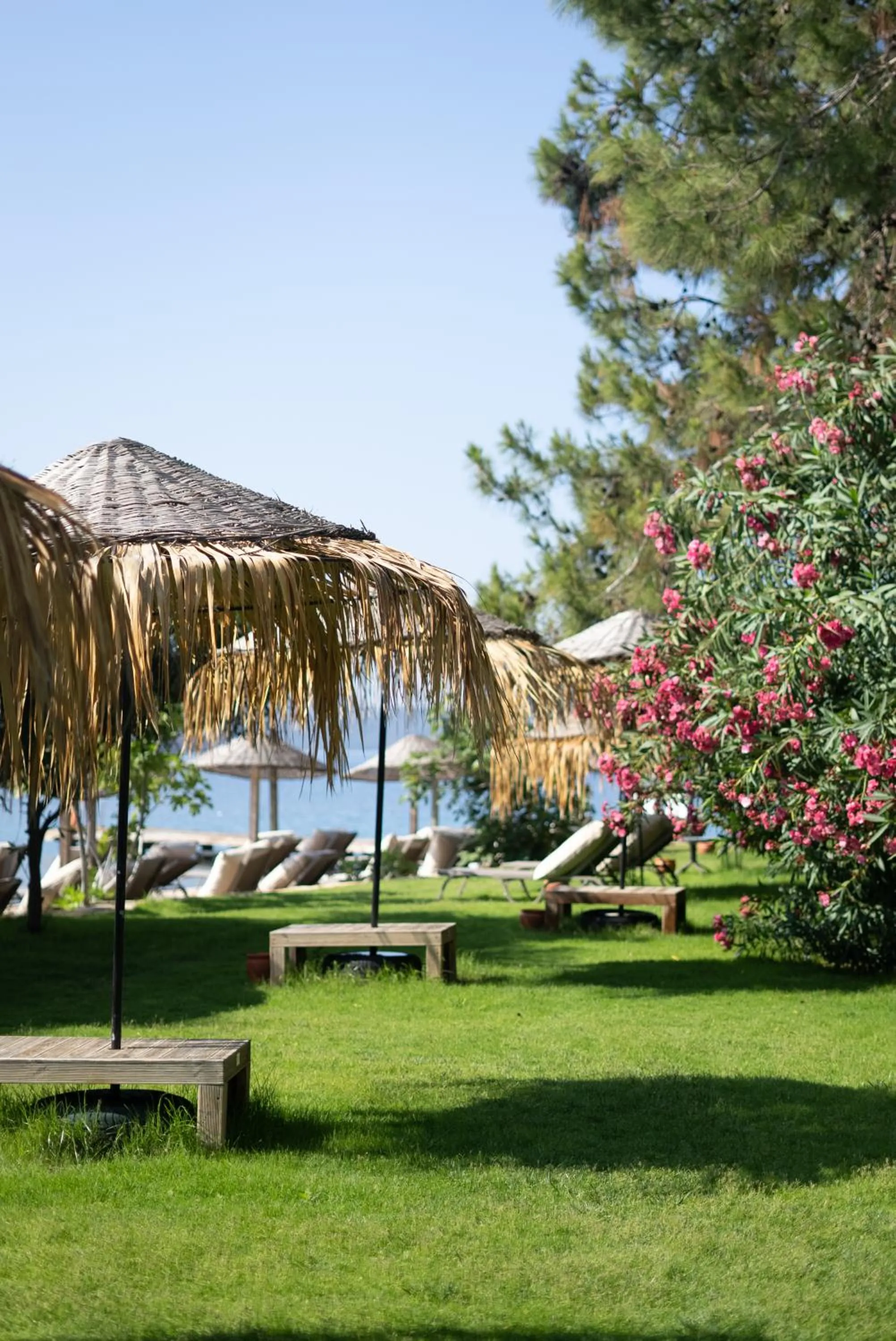 Beach in Golden Key Bordubet