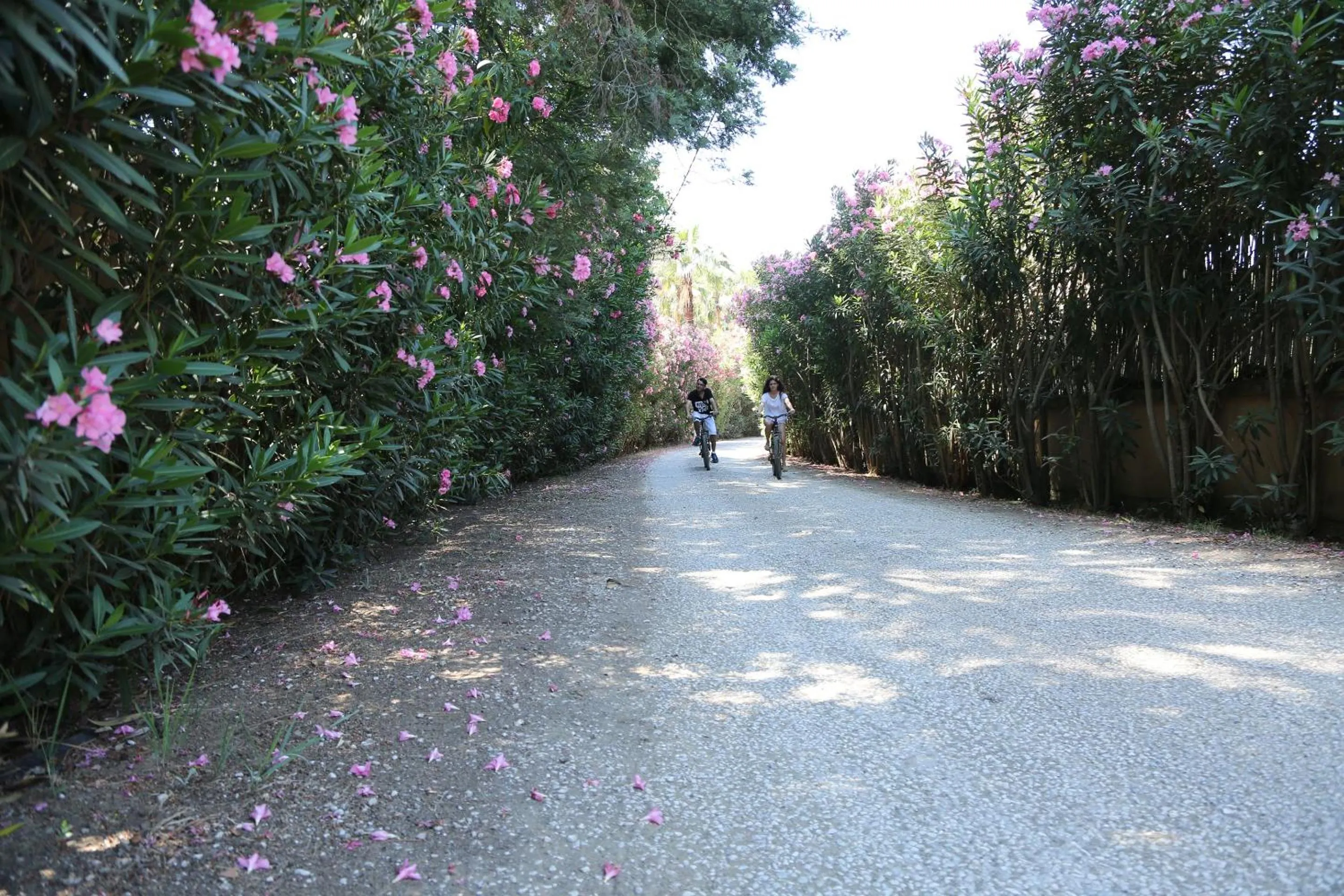 Cycling in Golden Key Bordubet