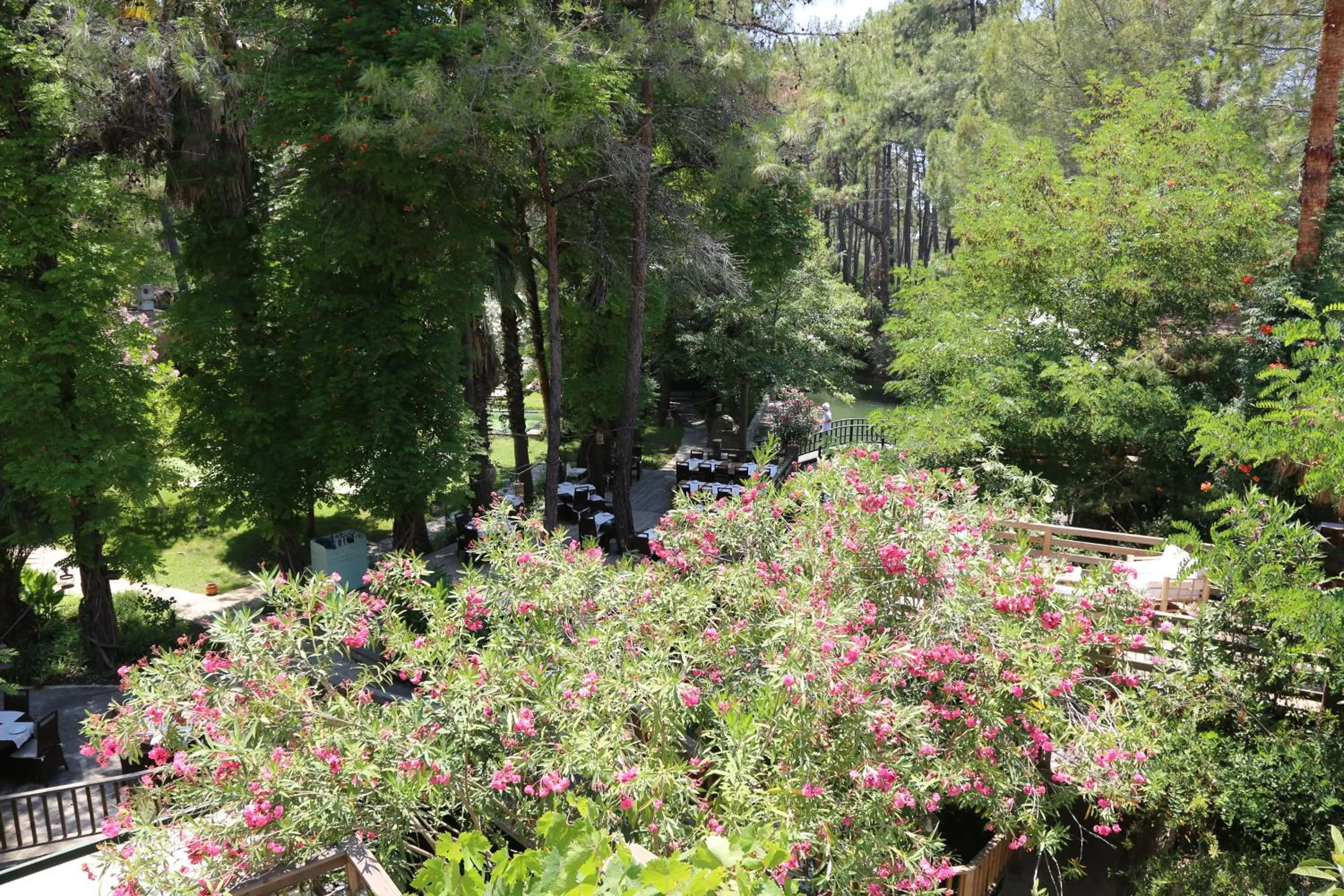 Garden in Golden Key Bordubet
