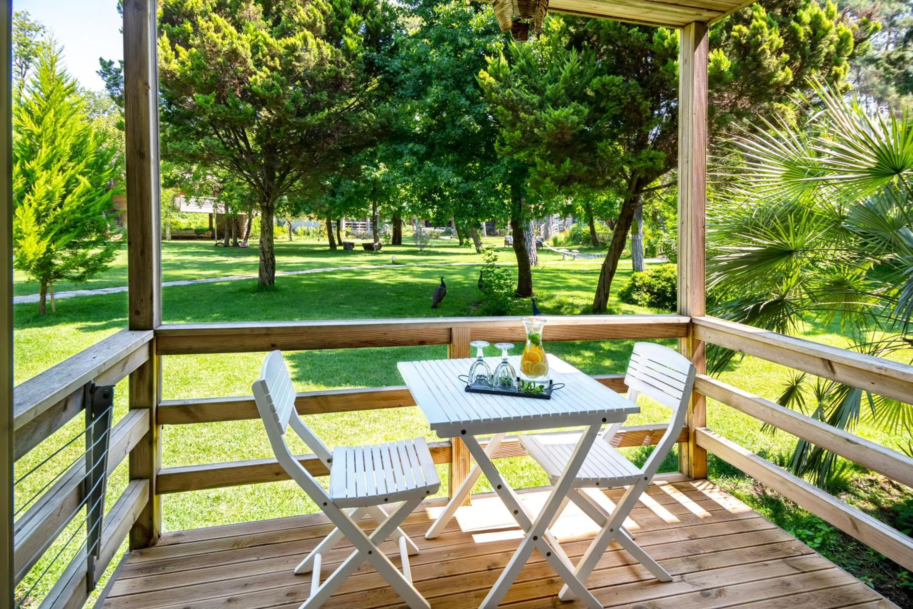 View (from property/room) in Golden Key Bordubet