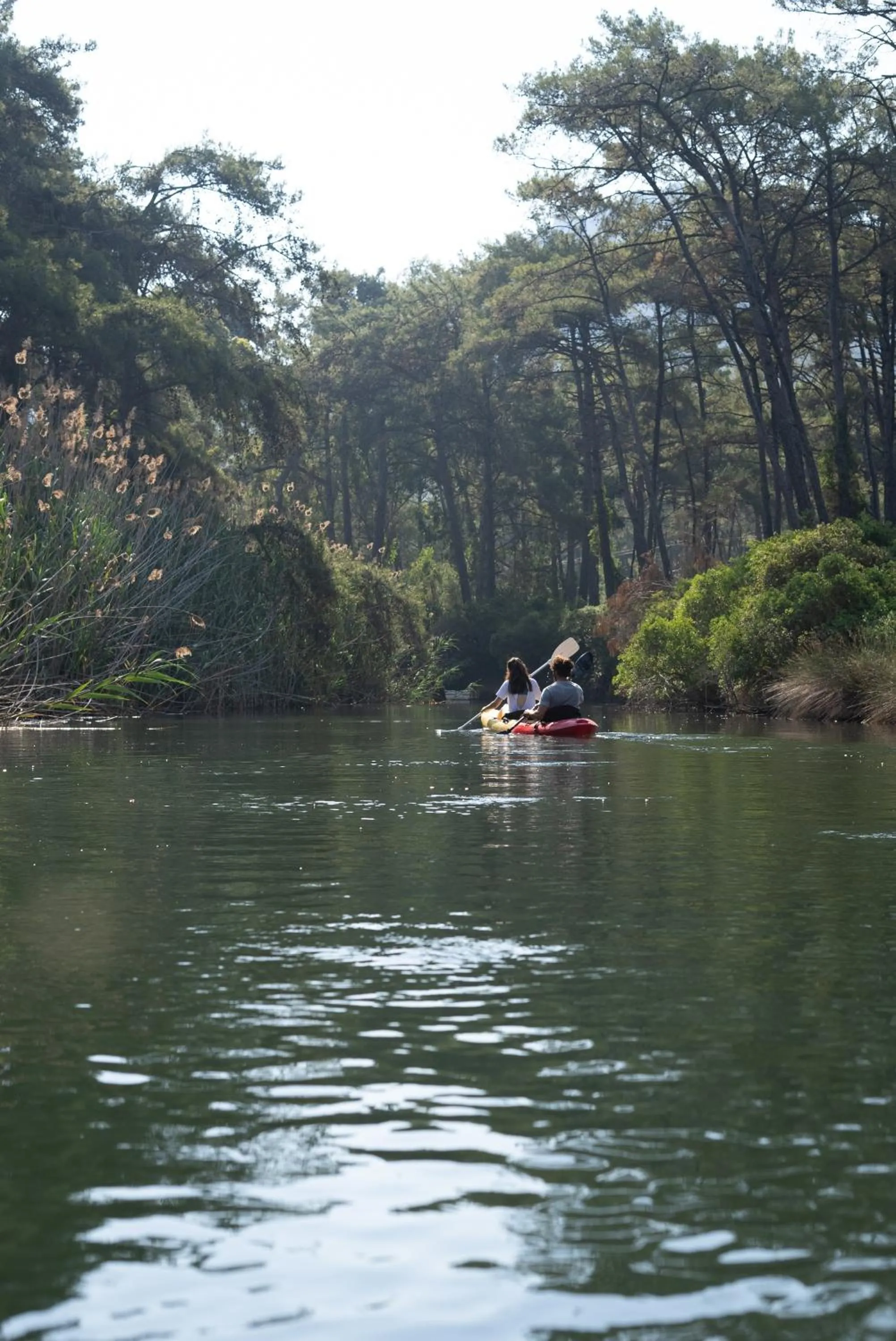 Canoeing in Golden Key Bordubet