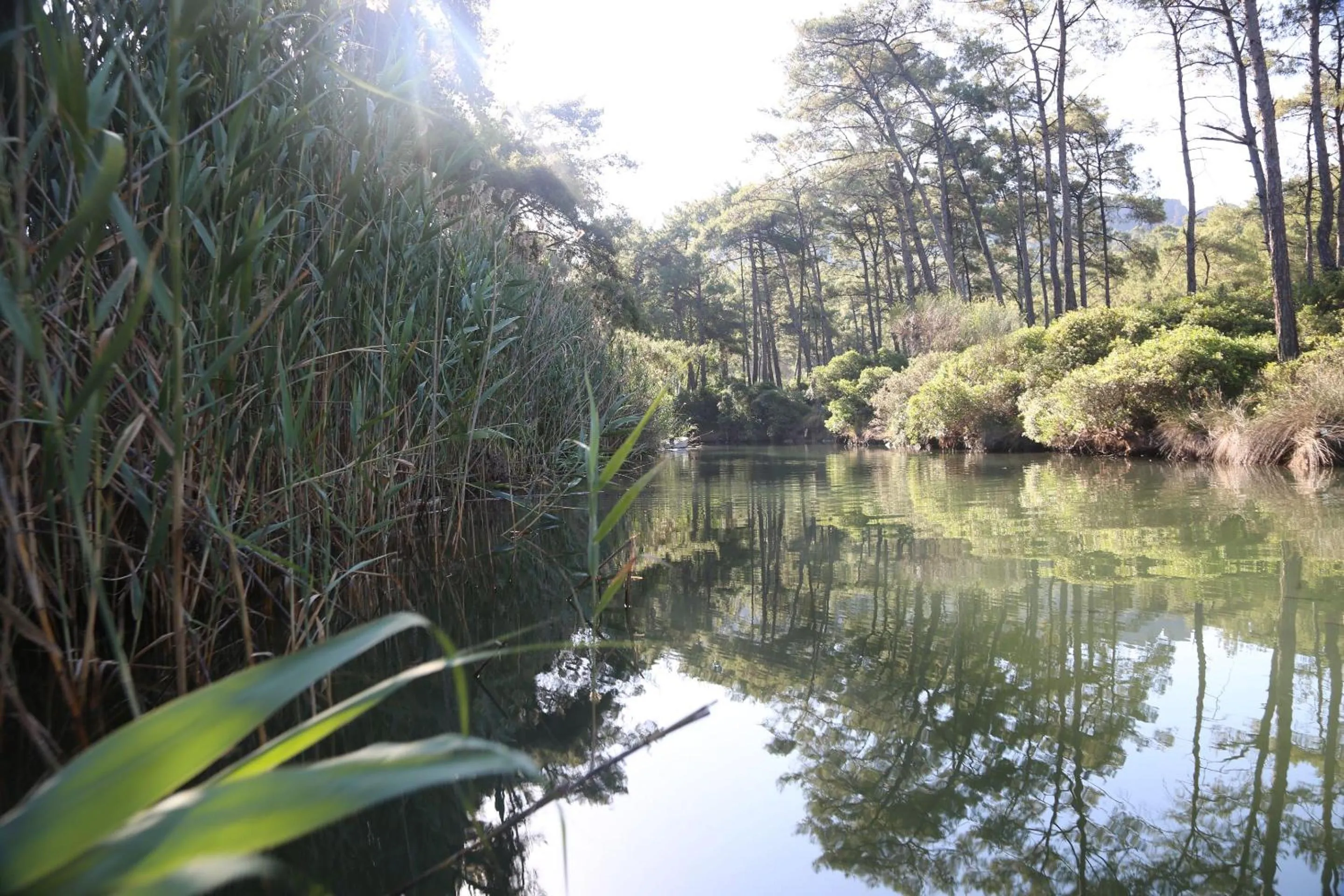 Area and facilities in Golden Key Bordubet