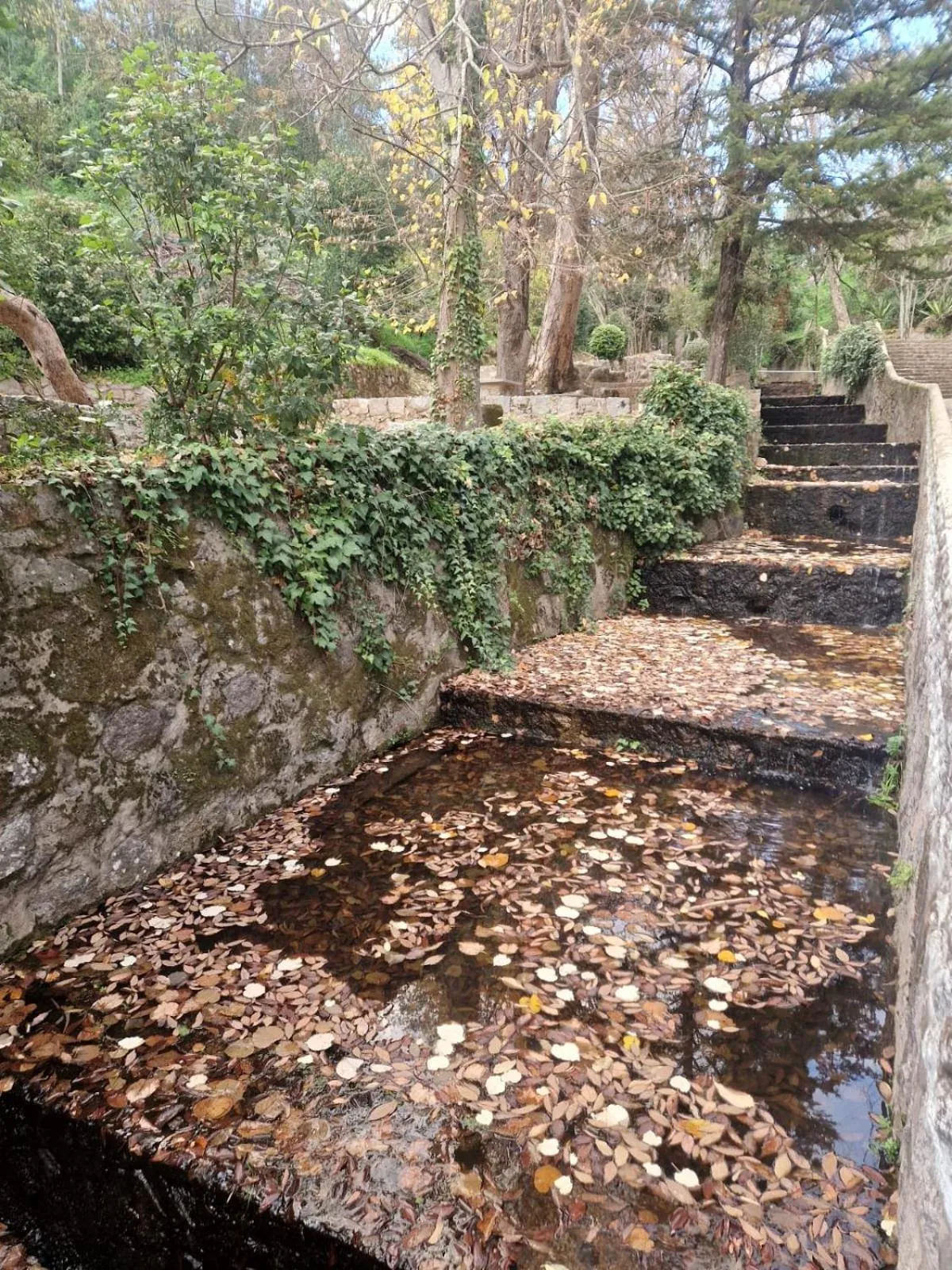 Natural landscape in Aqua Vista Monchique Hôtel