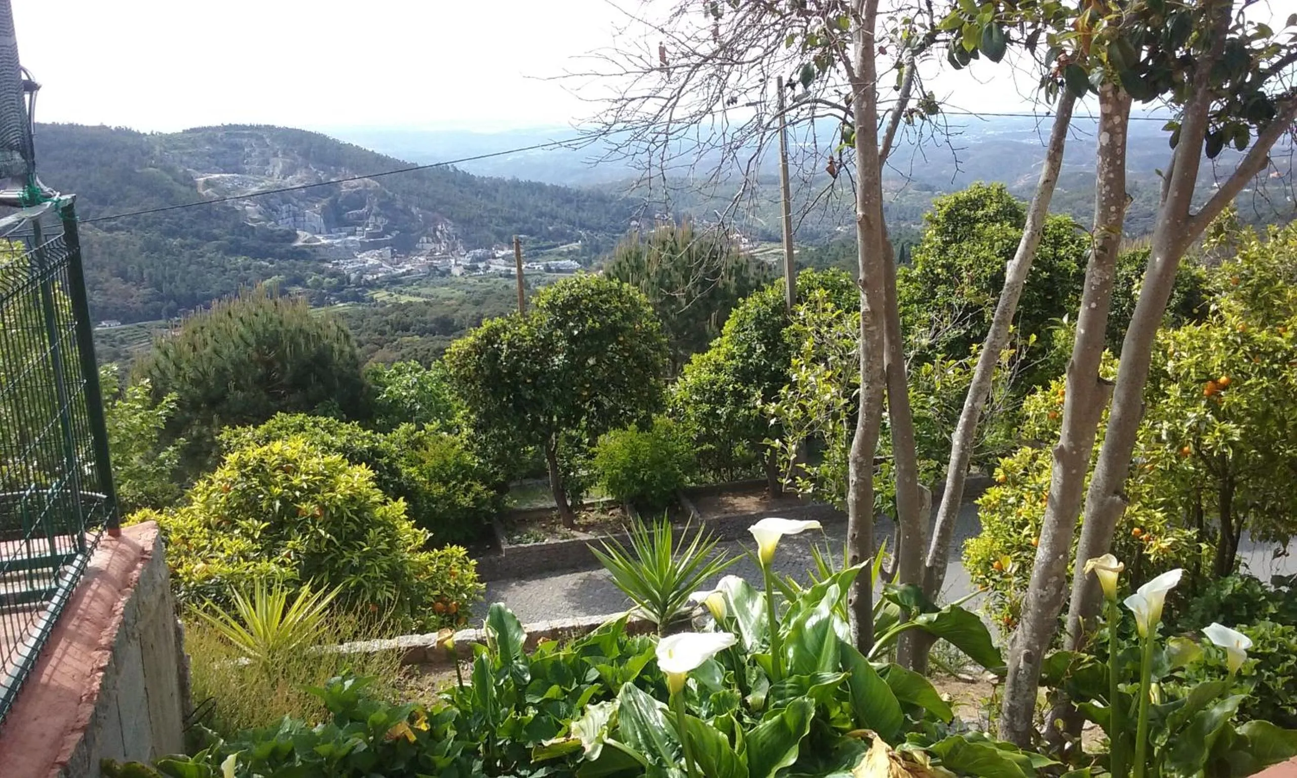 Natural landscape in Aqua Vista Monchique Hôtel