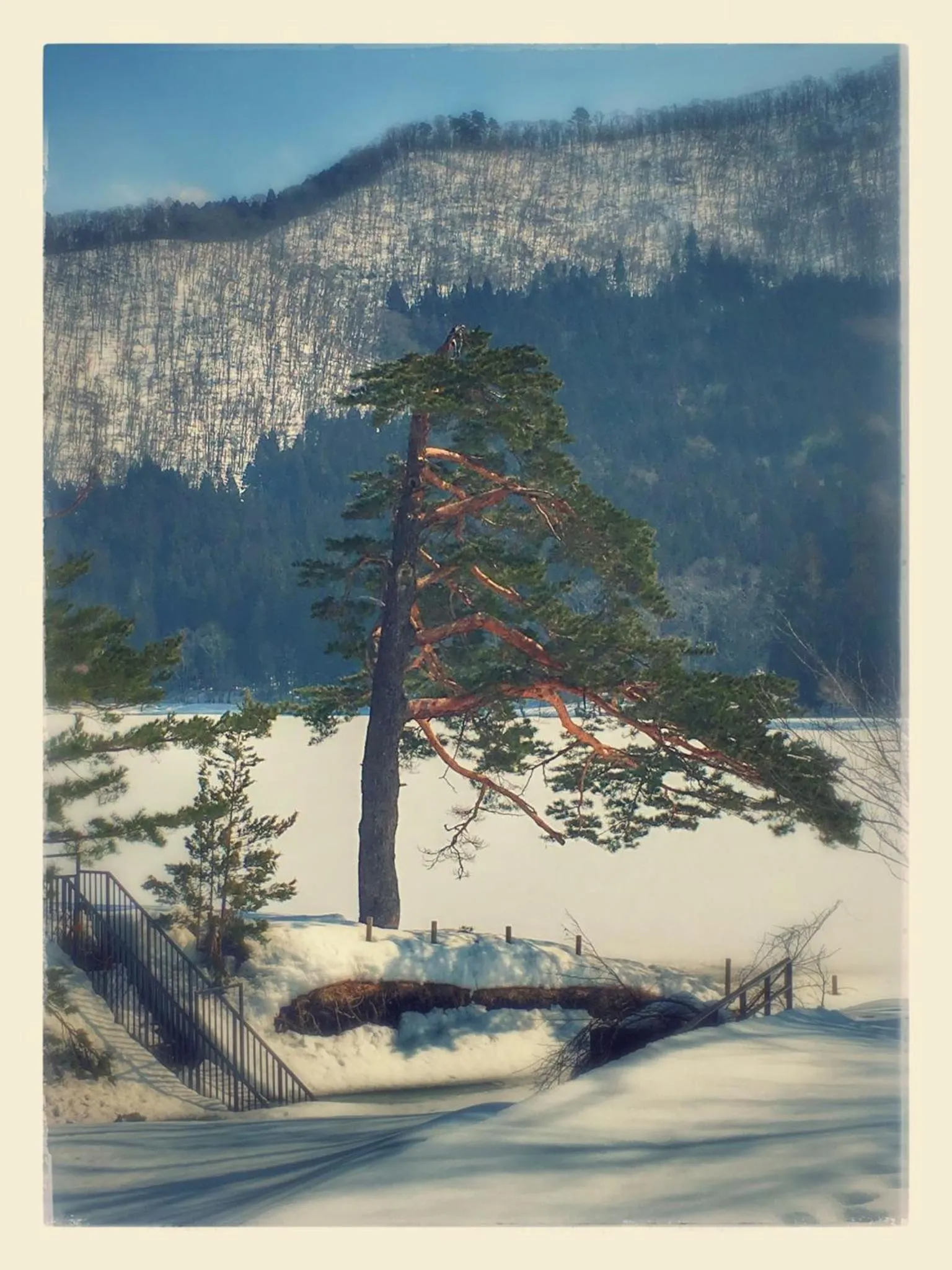 Nozawa Onsen BASECAMP