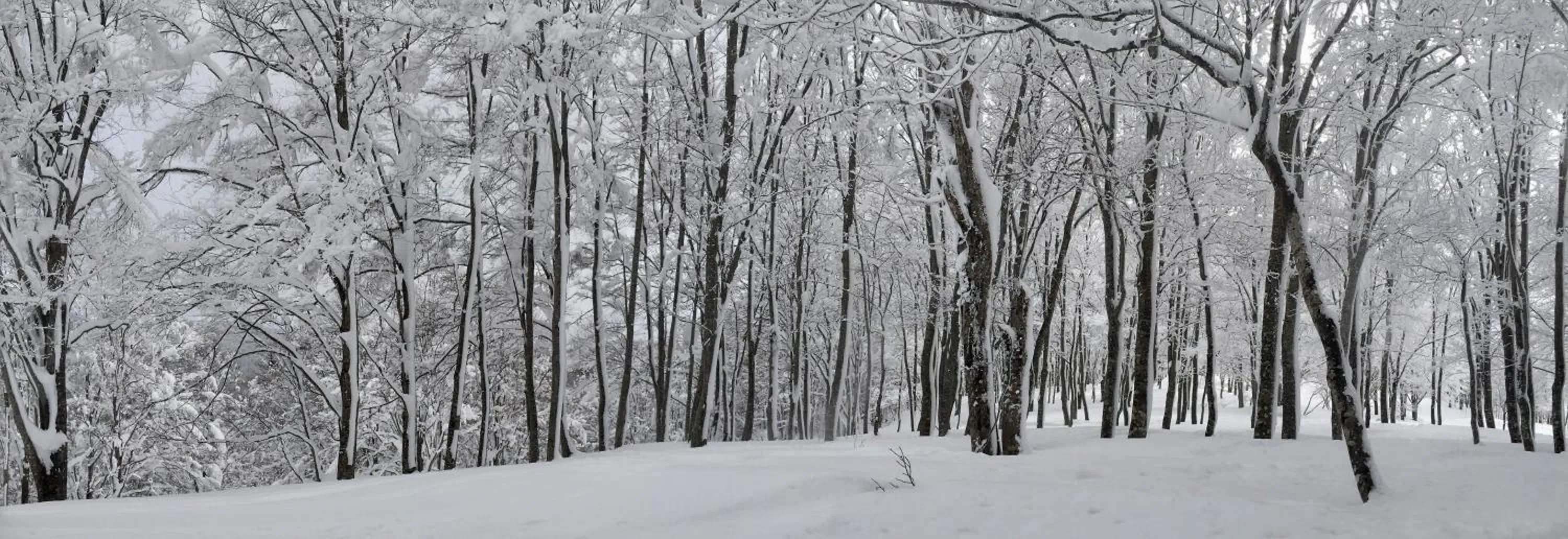 Nozawa Onsen BASECAMP
