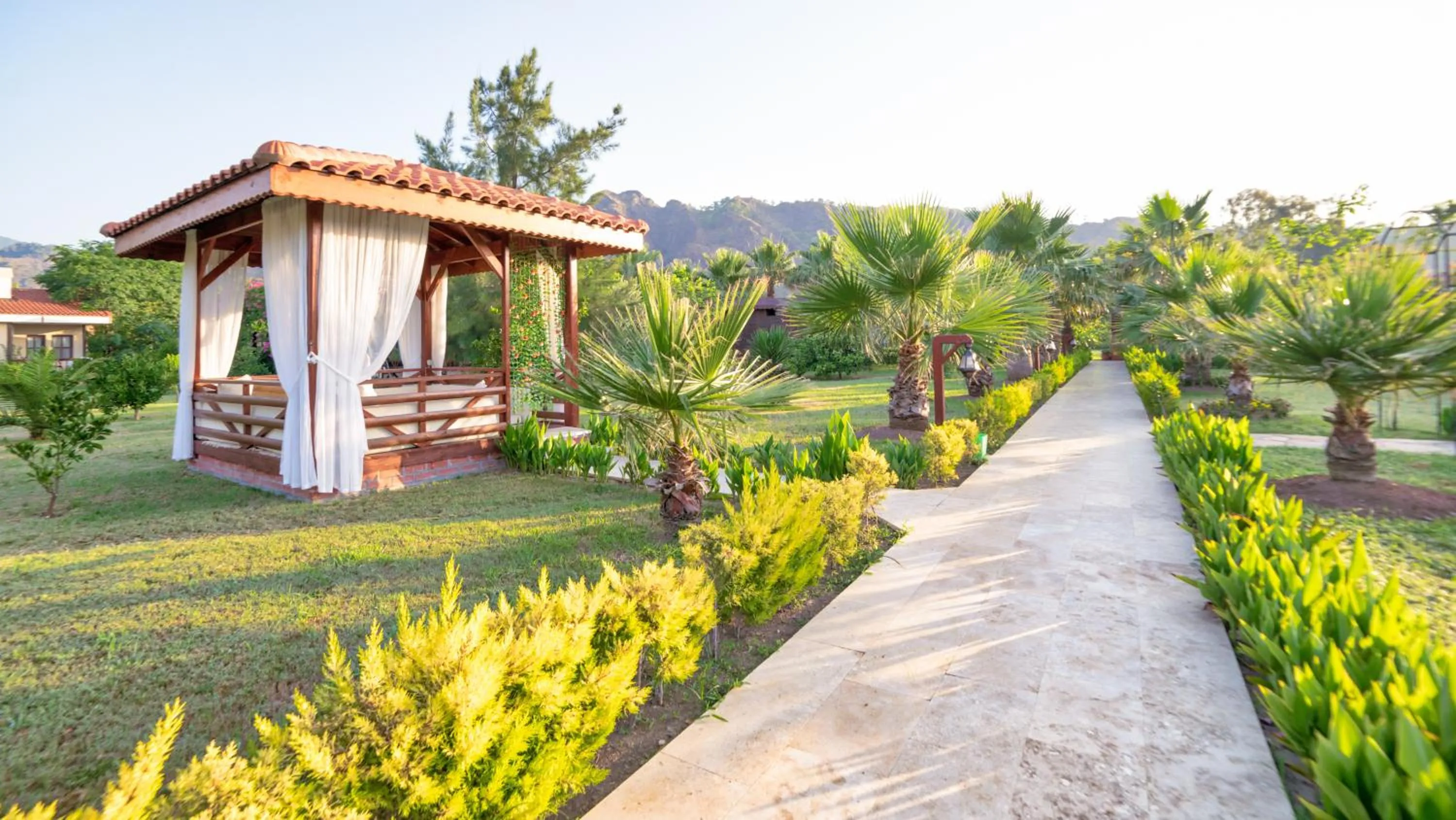 Natural landscape in Nerissa Hotel