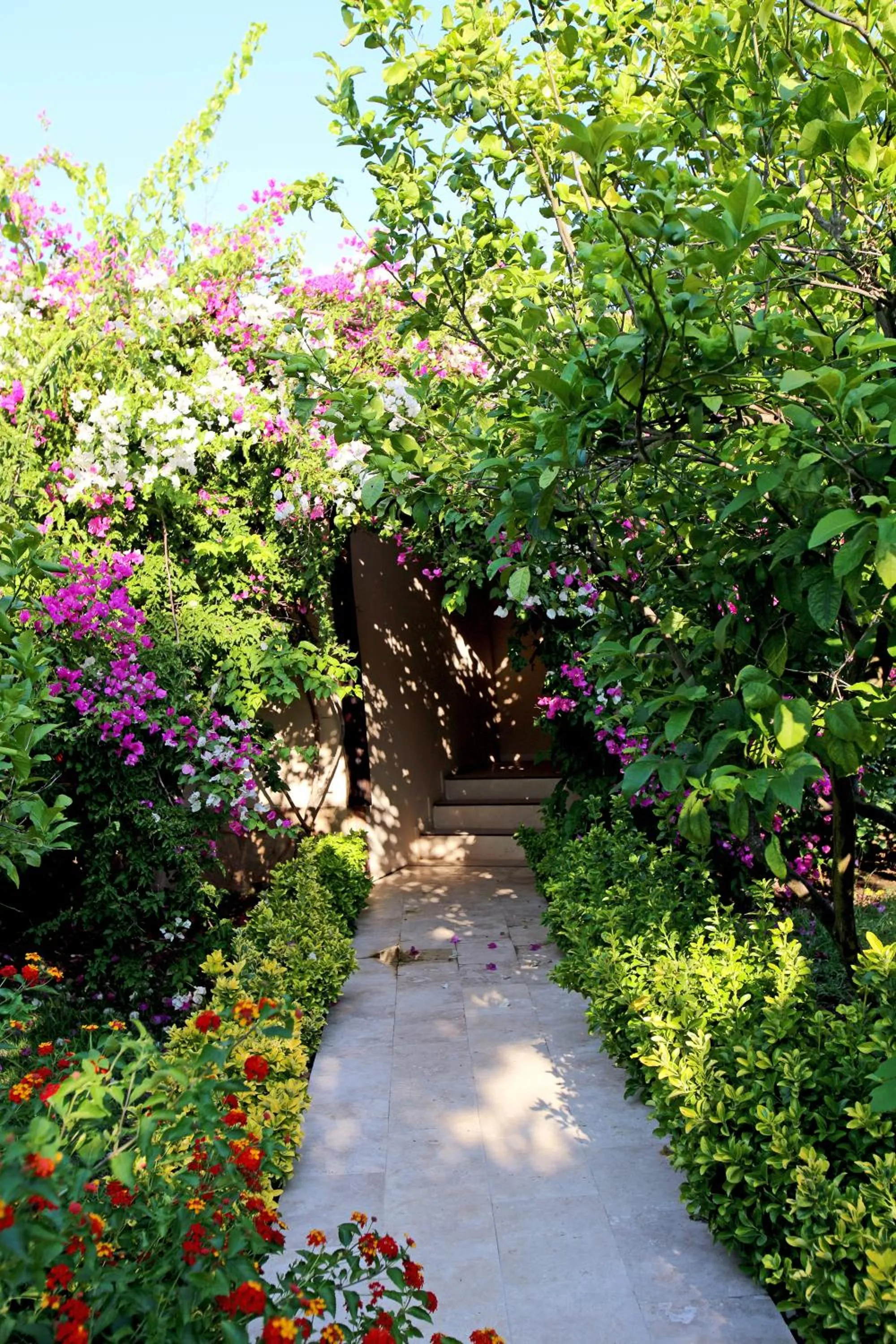 Natural landscape in Nerissa Hotel