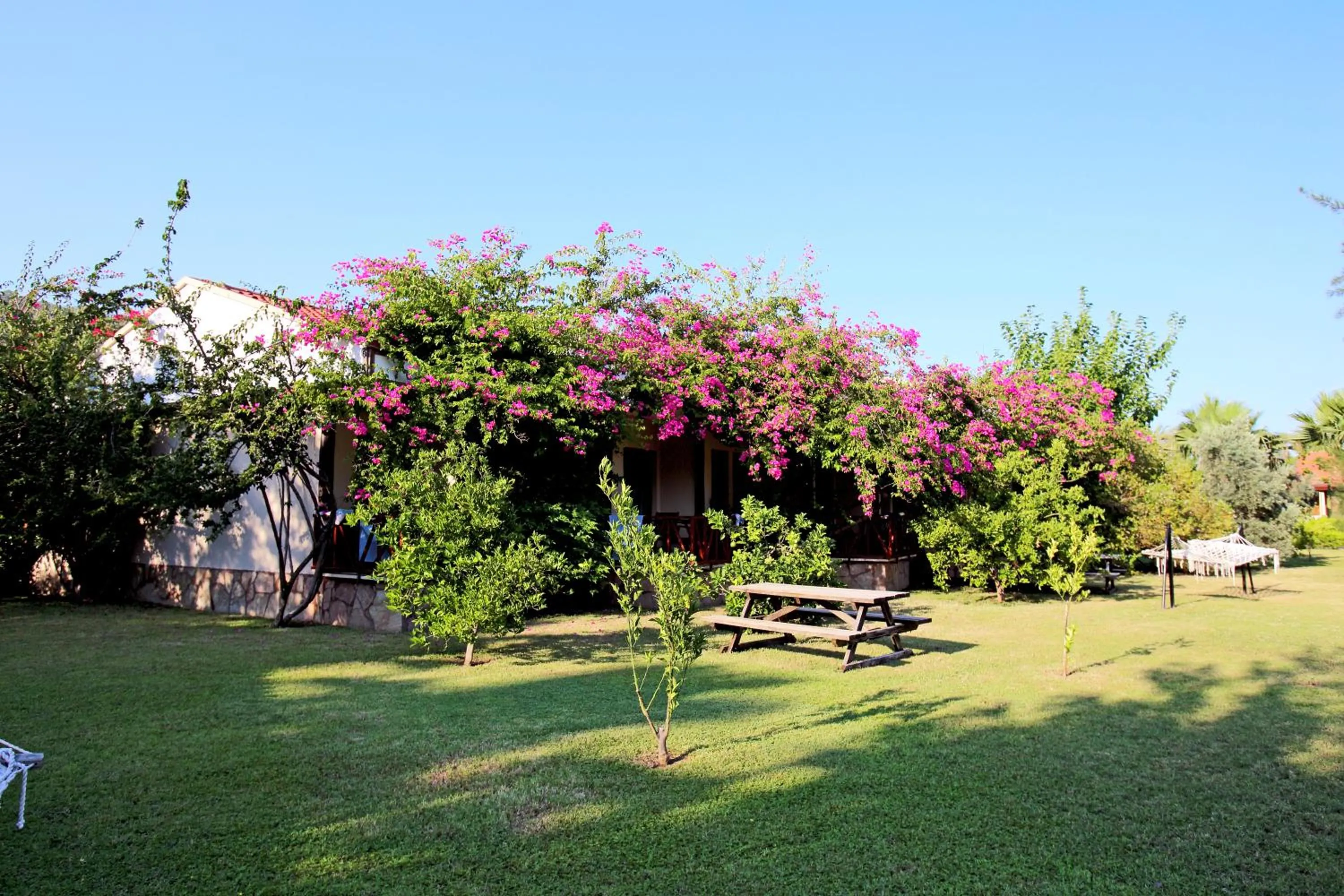 Nerissa Hotel