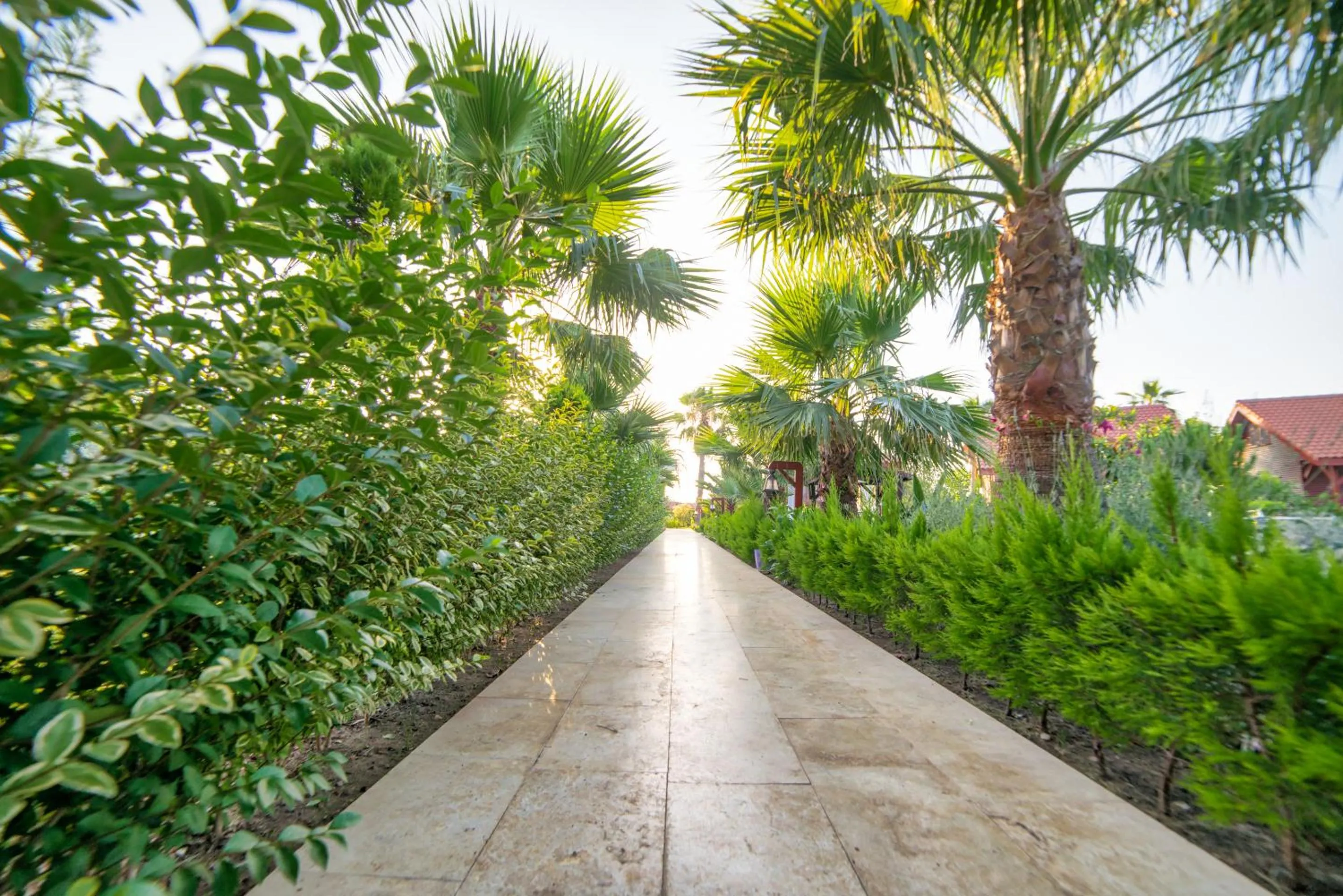 Natural landscape in Nerissa Hotel