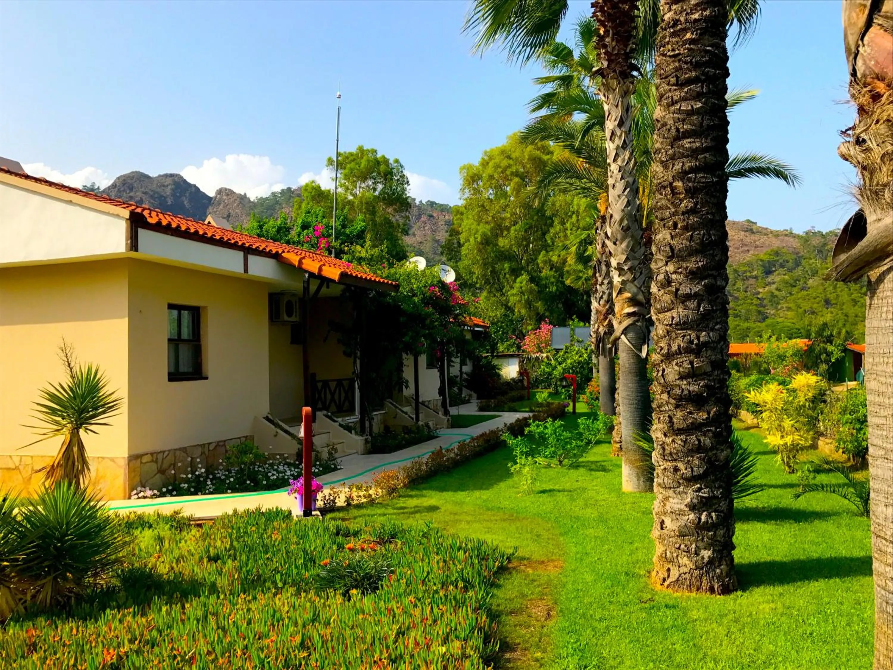 Nerissa Hotel