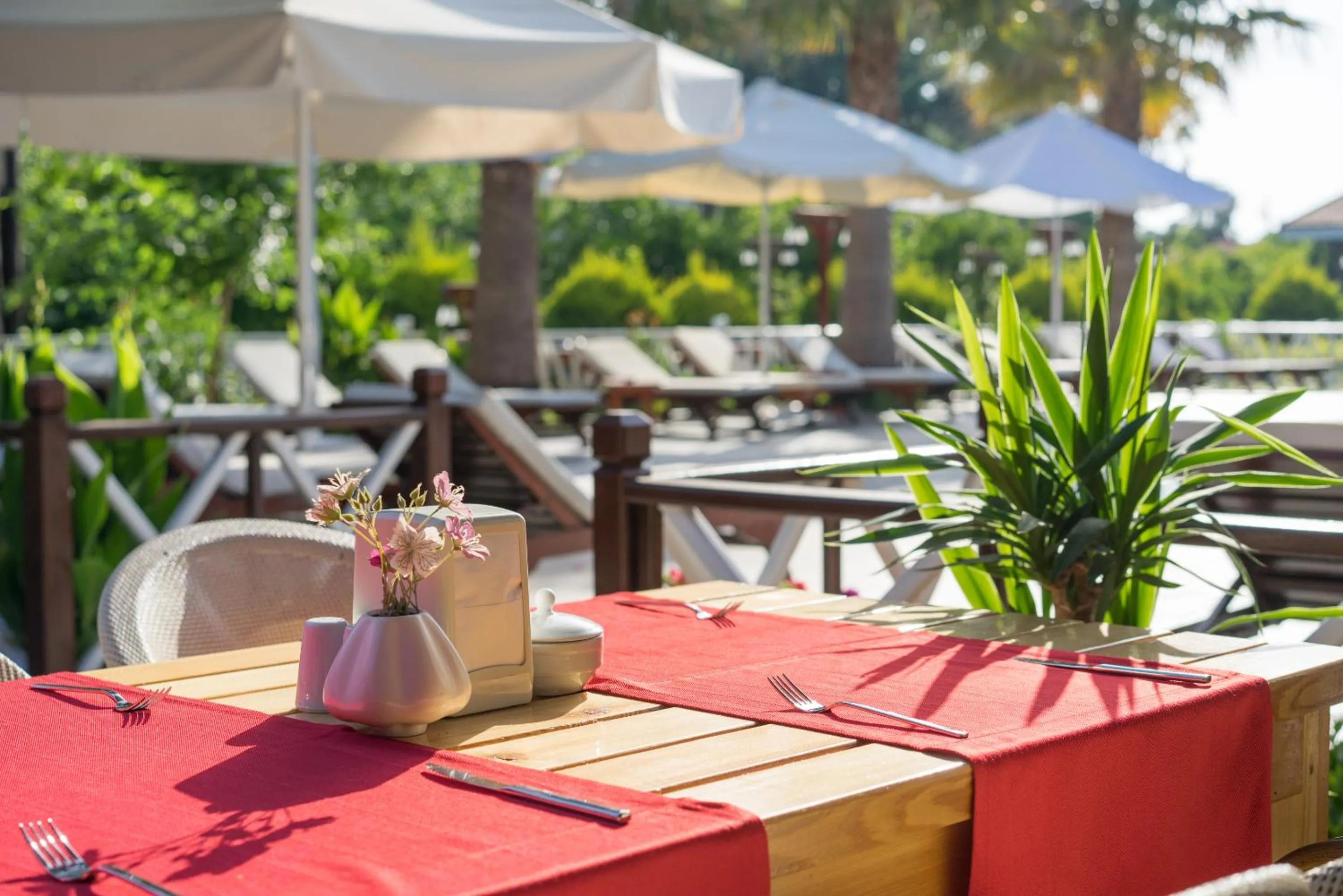 Restaurant/places to eat in Nerissa Hotel