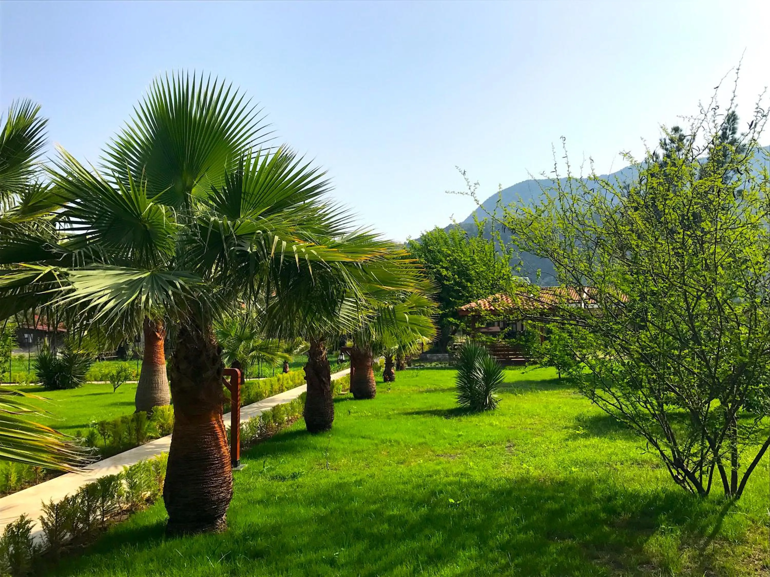 Day in Nerissa Hotel