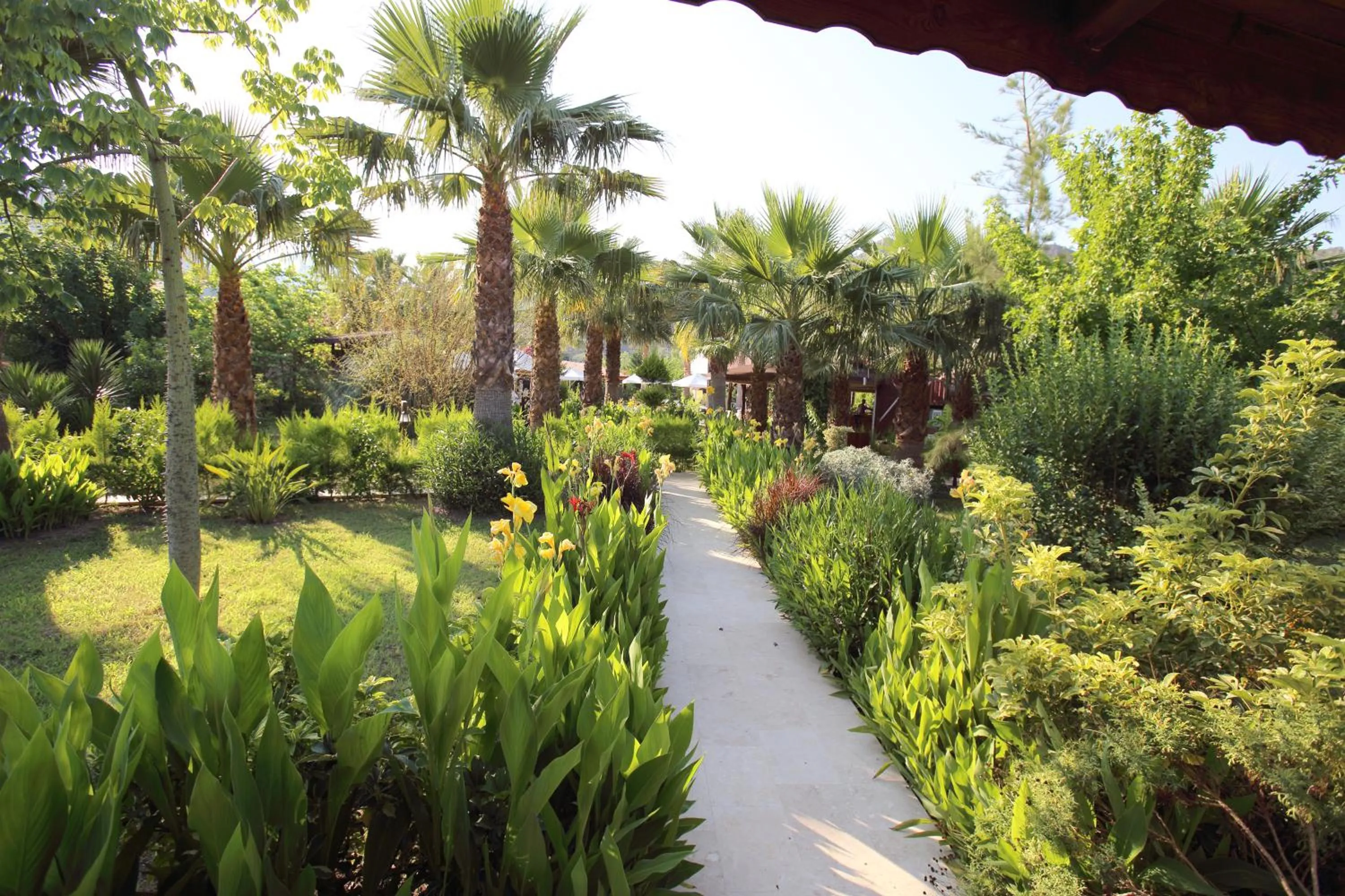 Nerissa Hotel