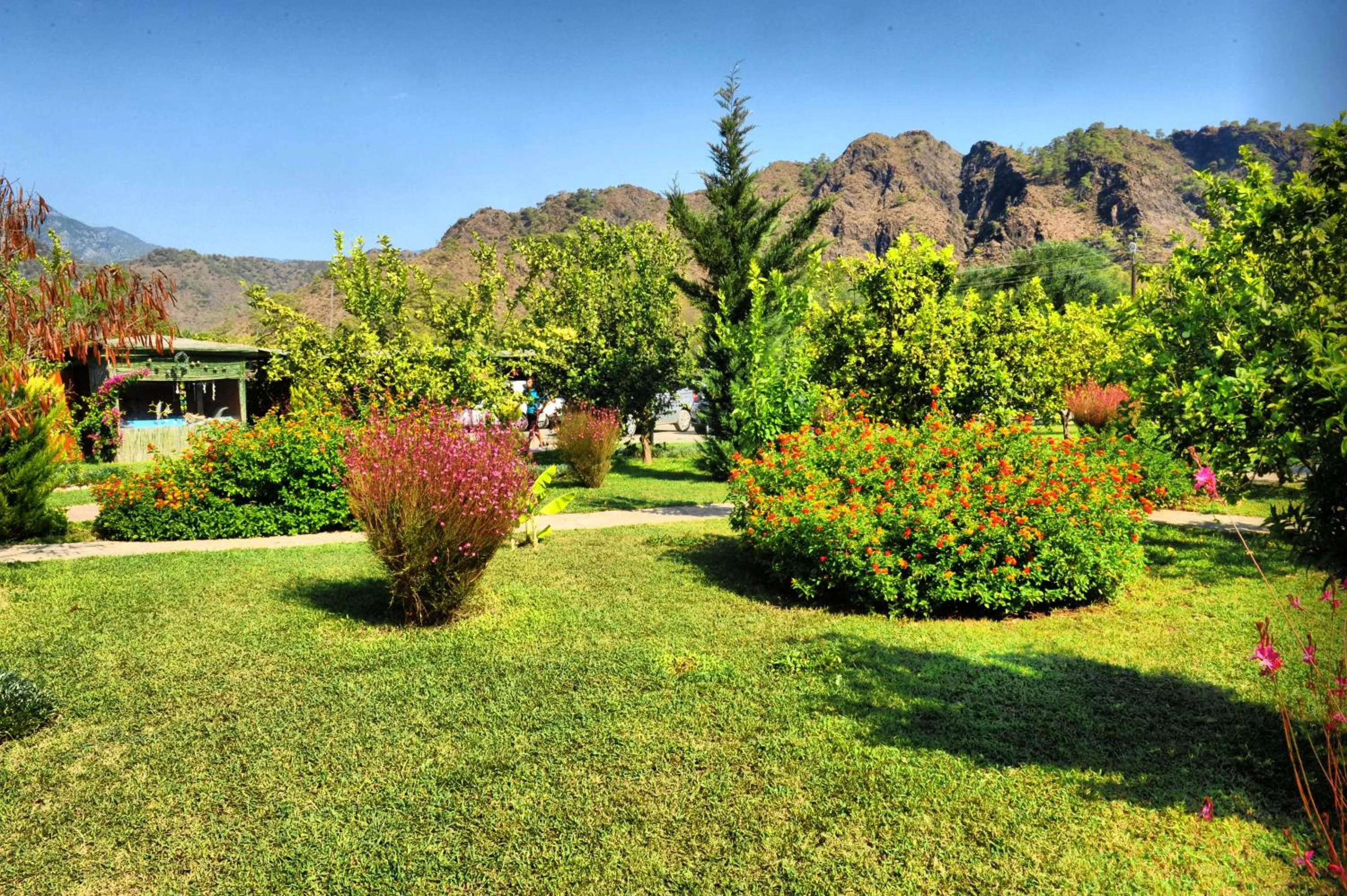 Garden in Nerissa Hotel