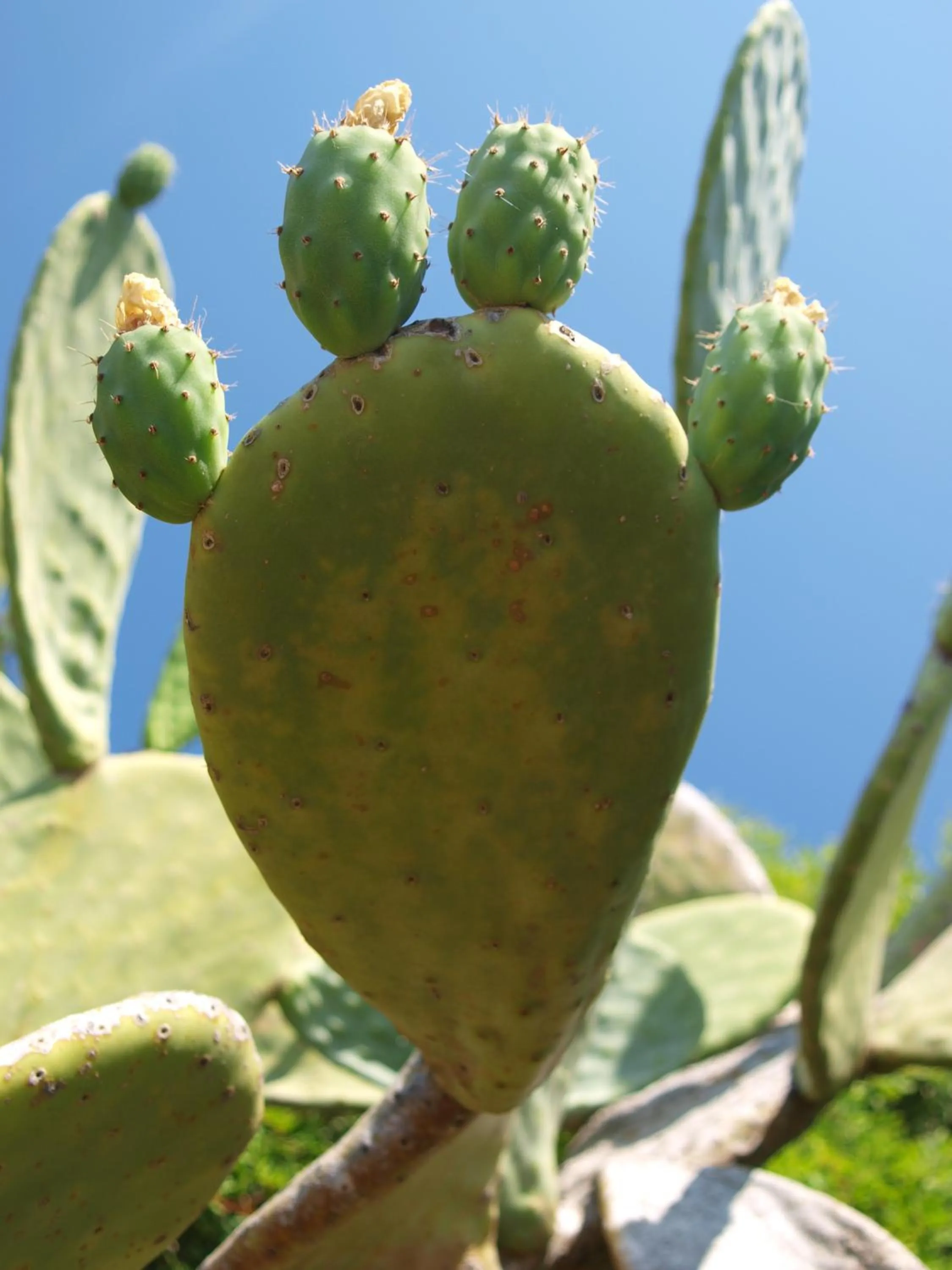 Other in Hotel Capo Sud