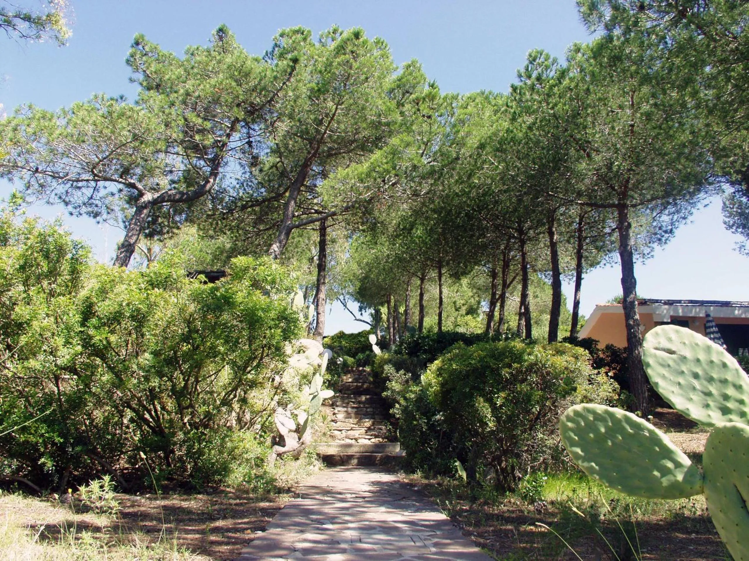 Day in Hotel Capo Sud