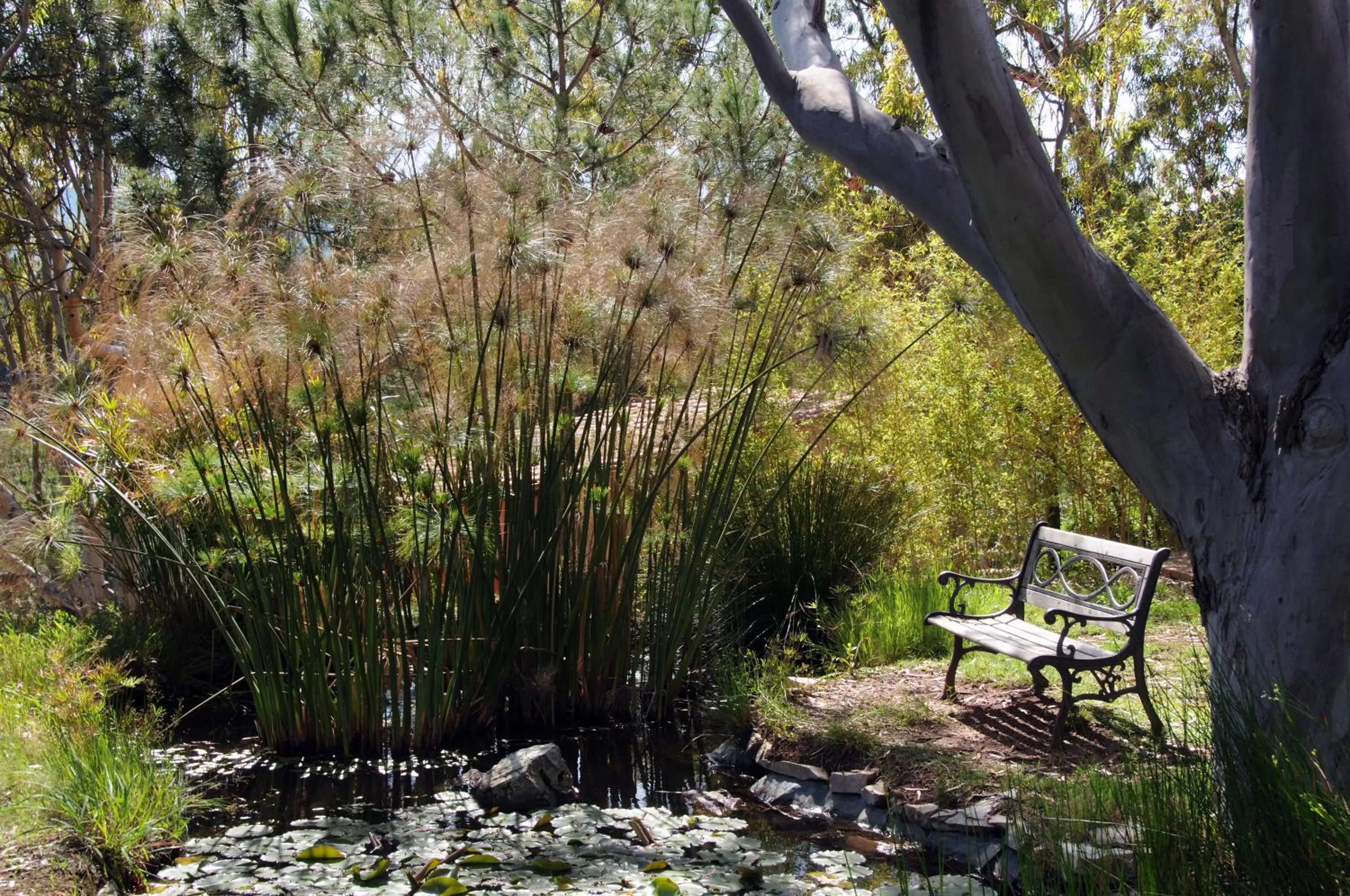 Day in Hotel Capo Sud