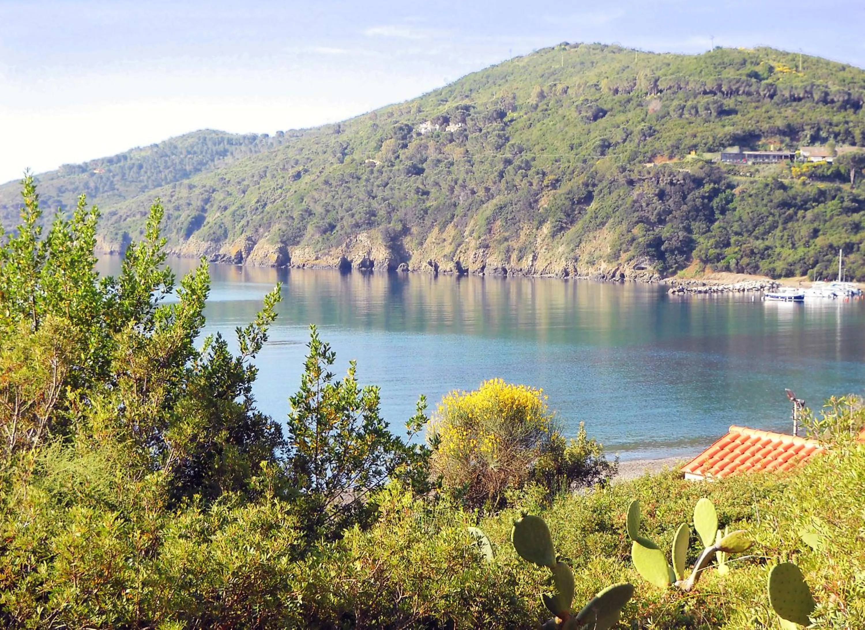 Natural landscape in Hotel Capo Sud