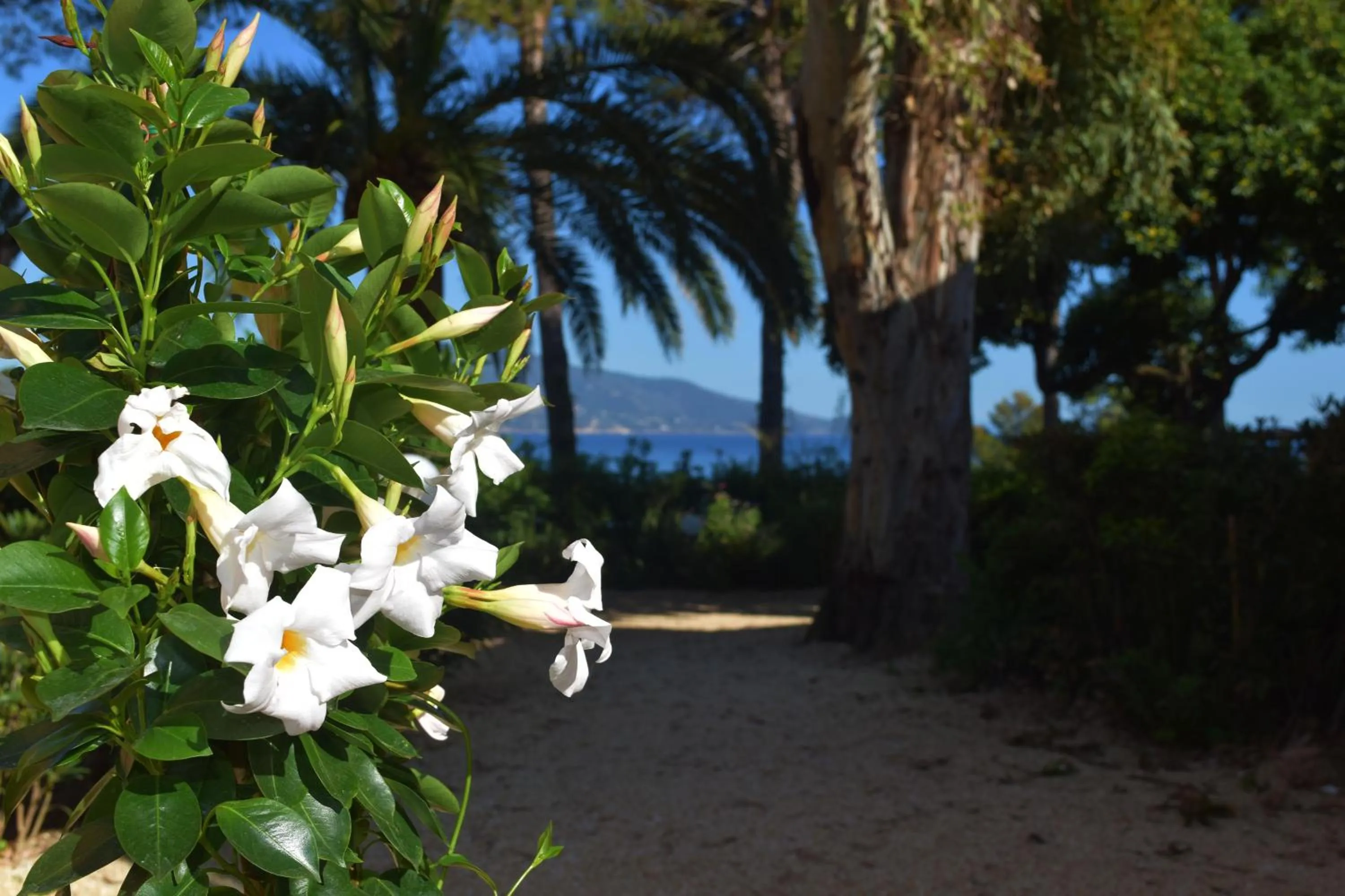 Day in Hotel Capo Sud