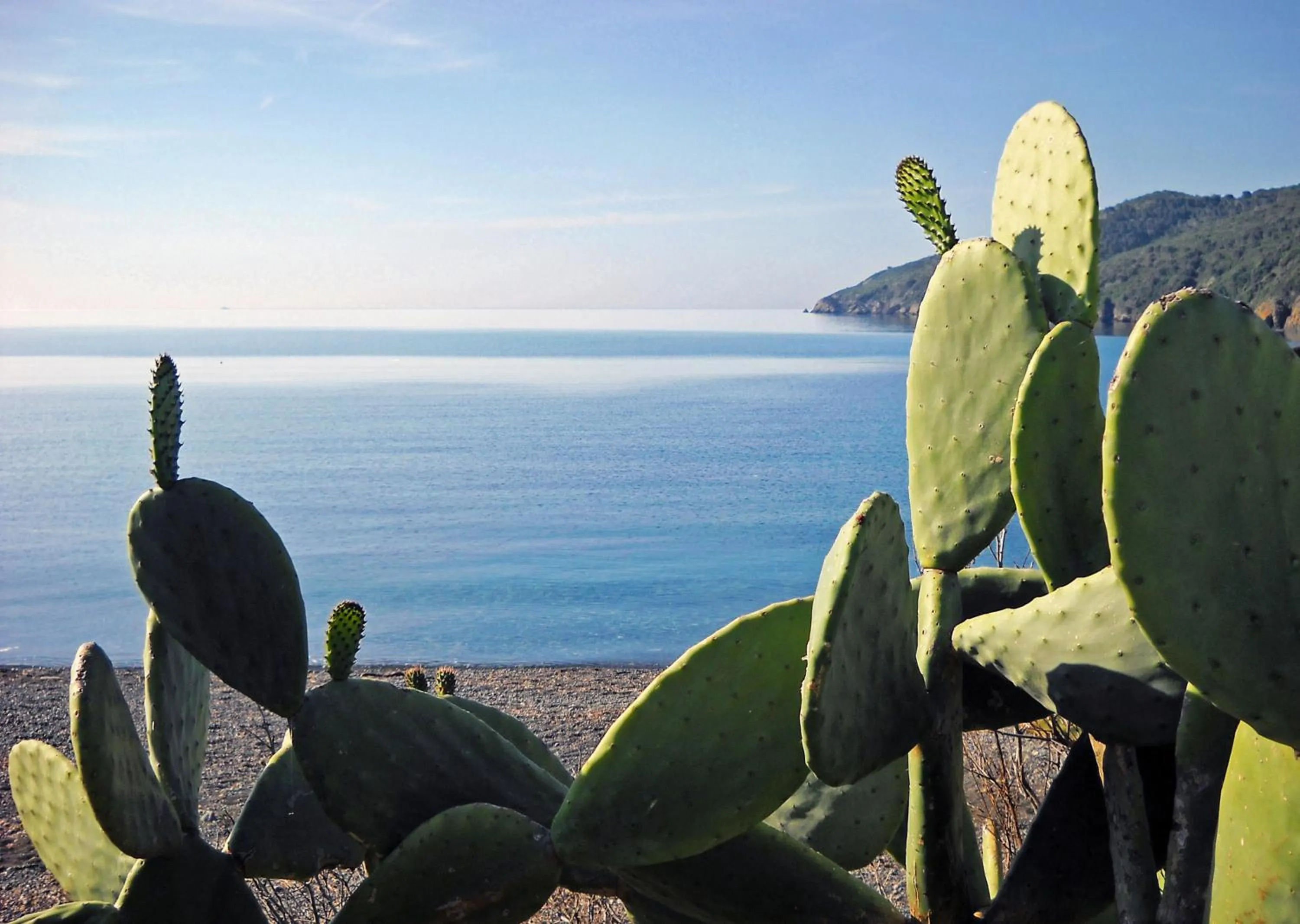 Spring in Hotel Capo Sud