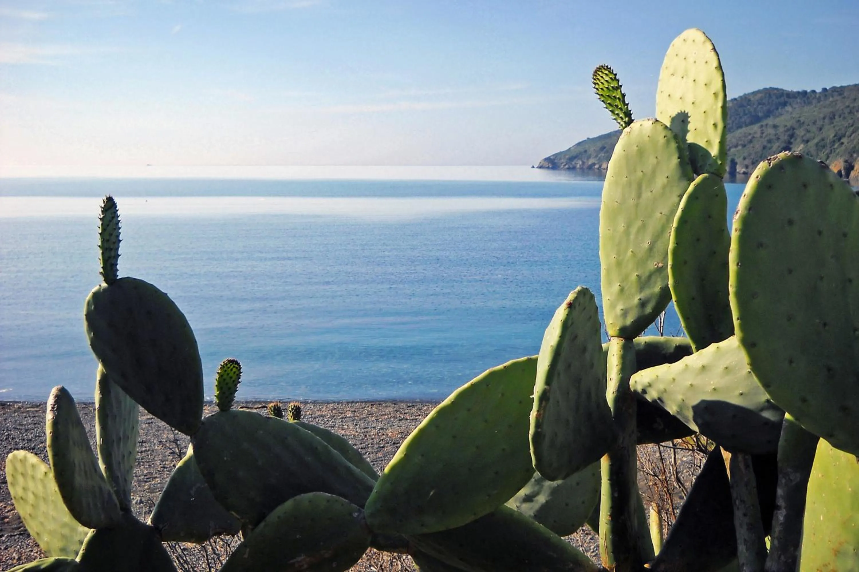 Natural landscape in Hotel Capo Sud