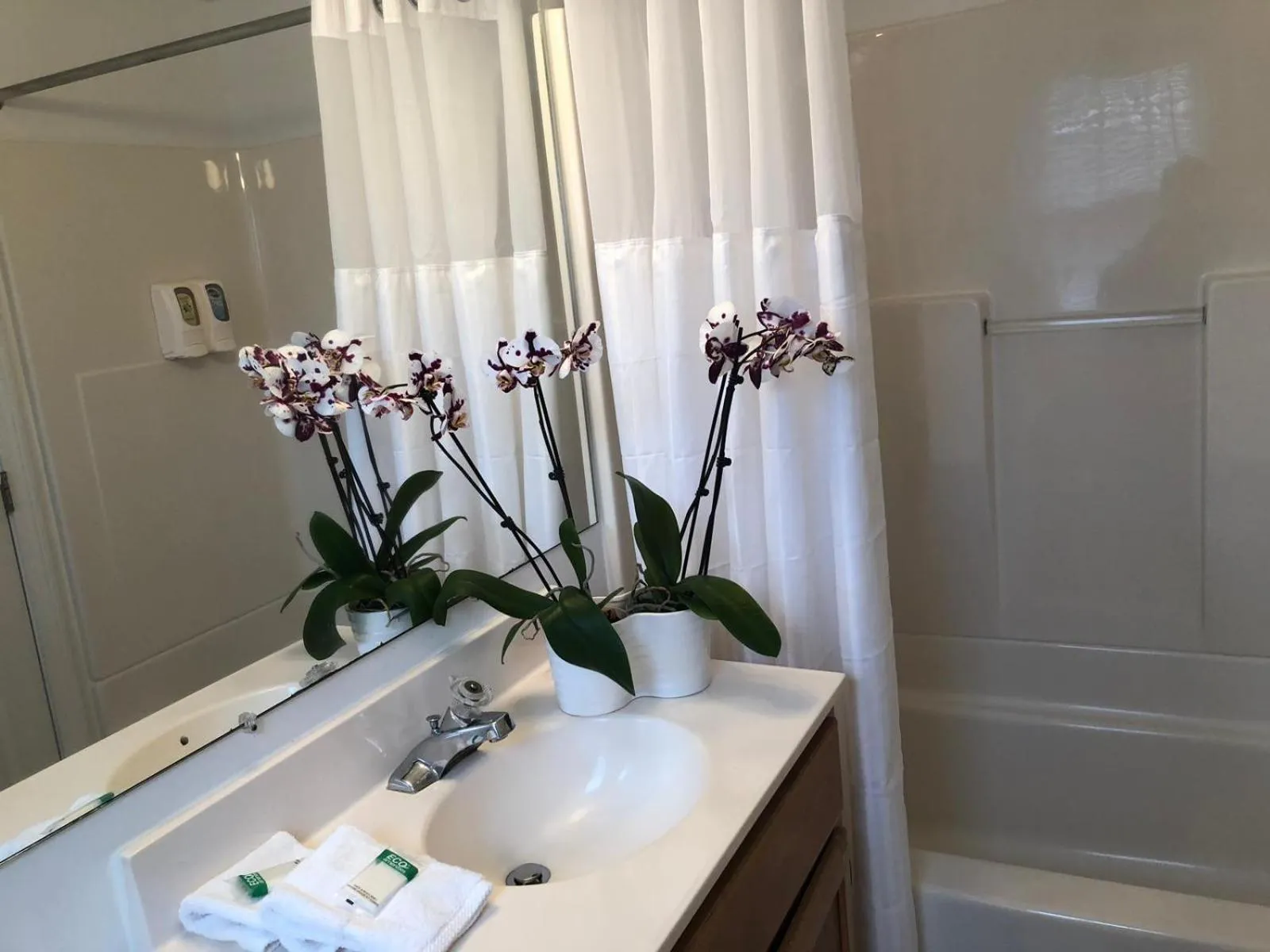 Bathroom in Hyannis Inn